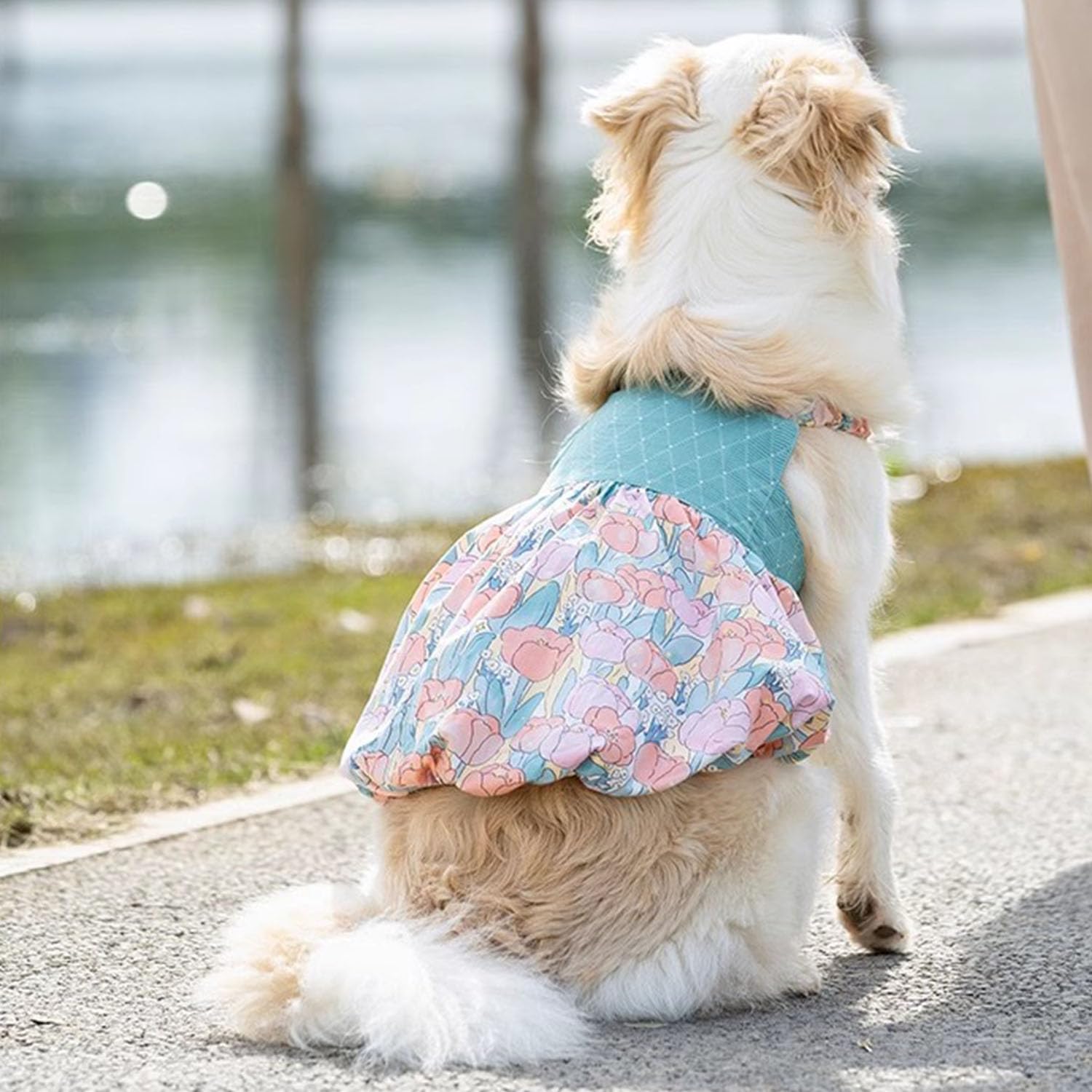 Fladorepet Dog Dress For Large Dogs Girls,Floral Dog Wedding Dress Birthday Easter Dresses,Spring Summer Dog Clothes For Bulldog