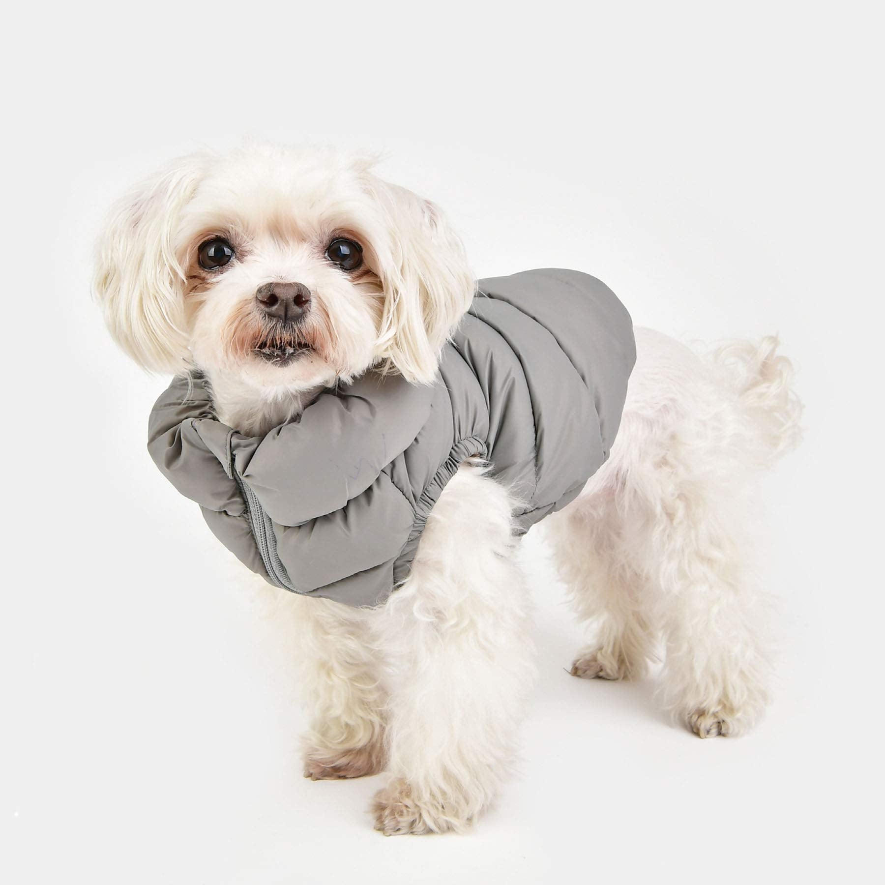 Puppia Winter Ultralight Dog Coat A Waterproof Warmth For Cold Weather Zipper Closure For Small And Medium Dogs, Grey, Medium