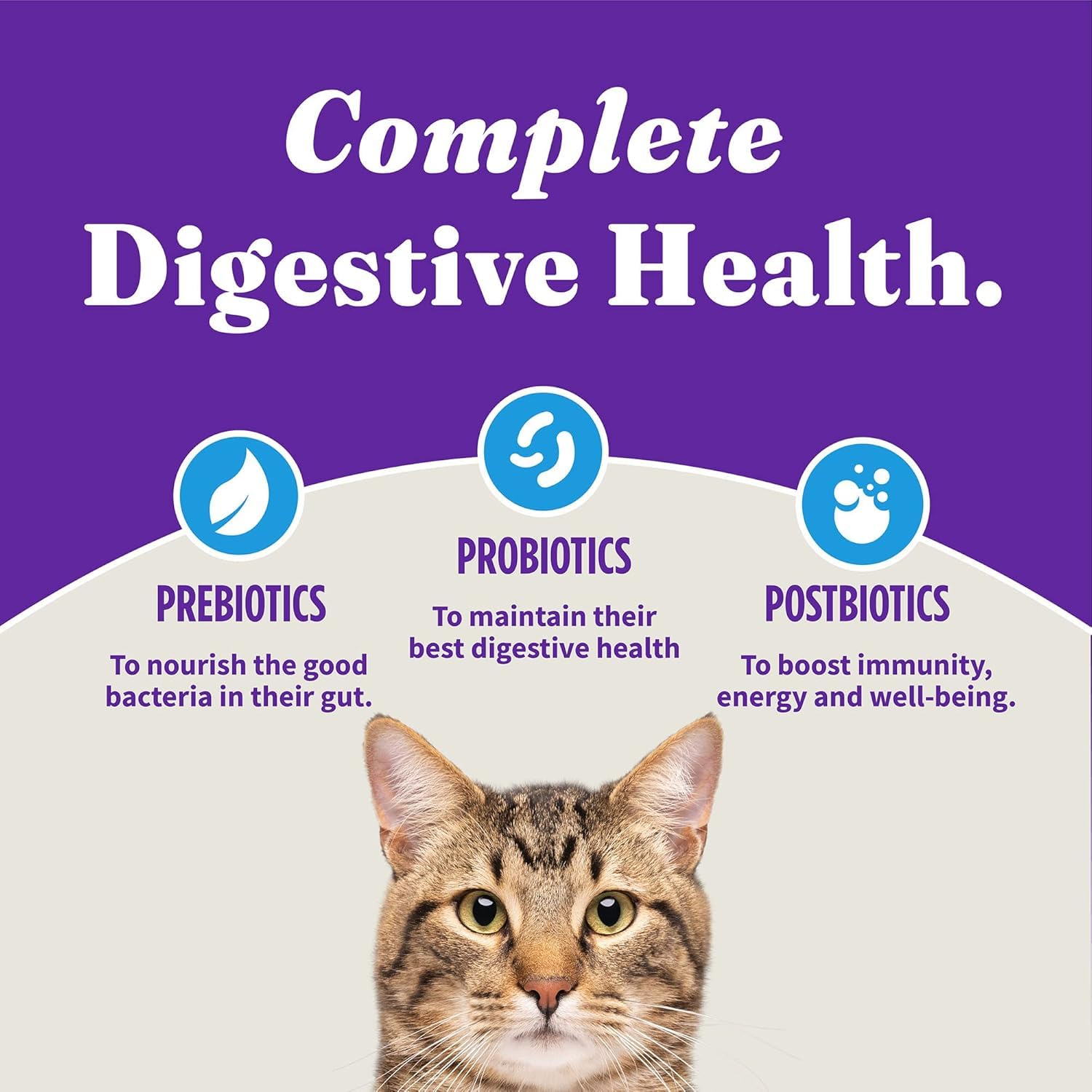 Halo Holistic Cat Food Wild Caught Salmon & Whitefish Formula, Healthy Grains Dry Cat Food, For Sensitive Stomach Support, Kibbl
