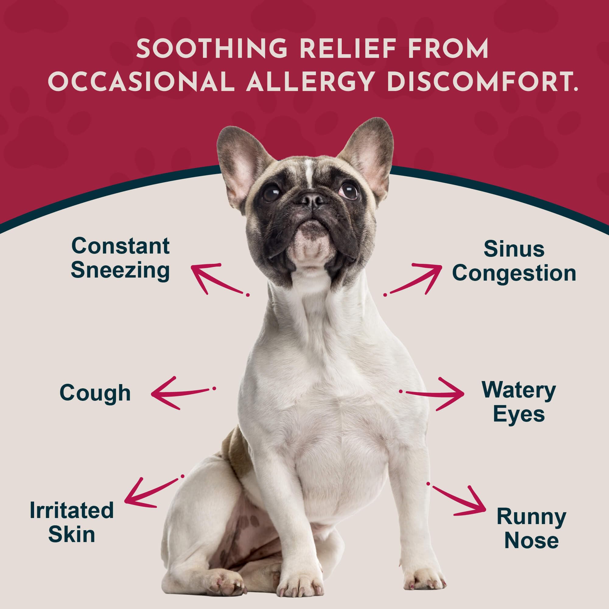 Animal Essentials Seasonal Allergy Herbal Supplement for Dogs & Cats, 2 Fl Oz - Sweet Tasting, Made in the USA, Model 9000724