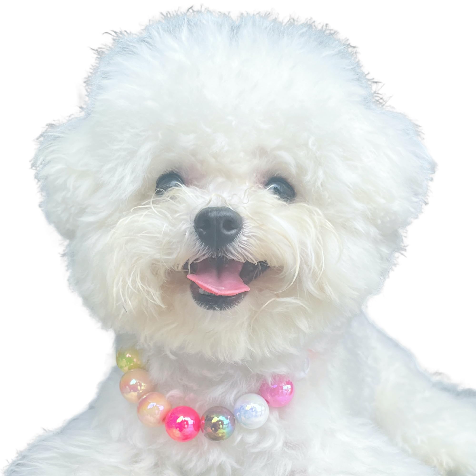 Kepudengen Dogs Necklace,Pet Fashion Necklace, Colorful Beaded Necklace,Pet Jewelry,Vibrant Candy-Colored Pet Jewelry Necklace F