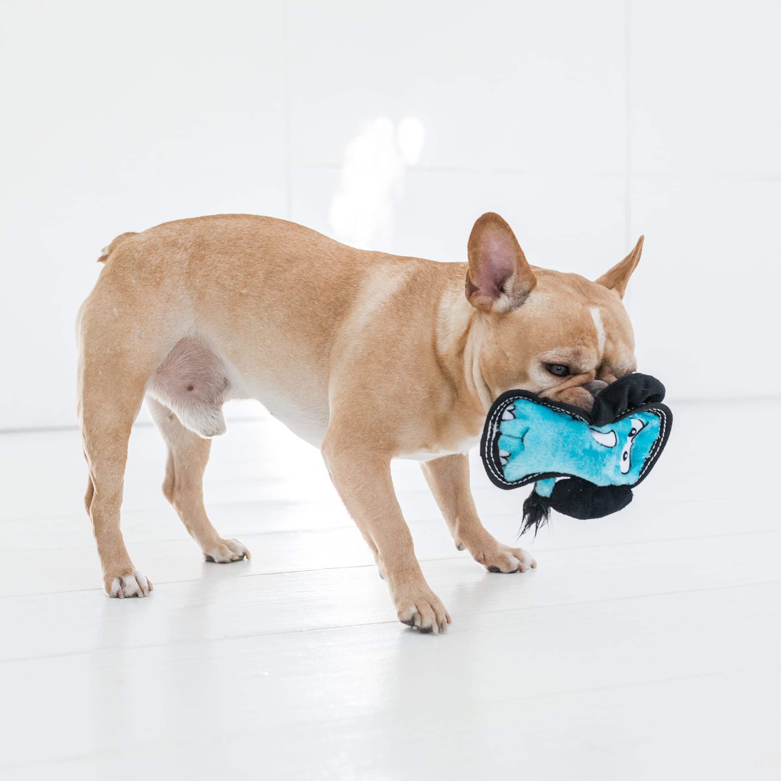 Outward Hound Tough Seamz Lion Plush Dog Toy, Medium - Durable, Soft, Ideal for Playtime and Fetch, Perfect for Medium Dogs