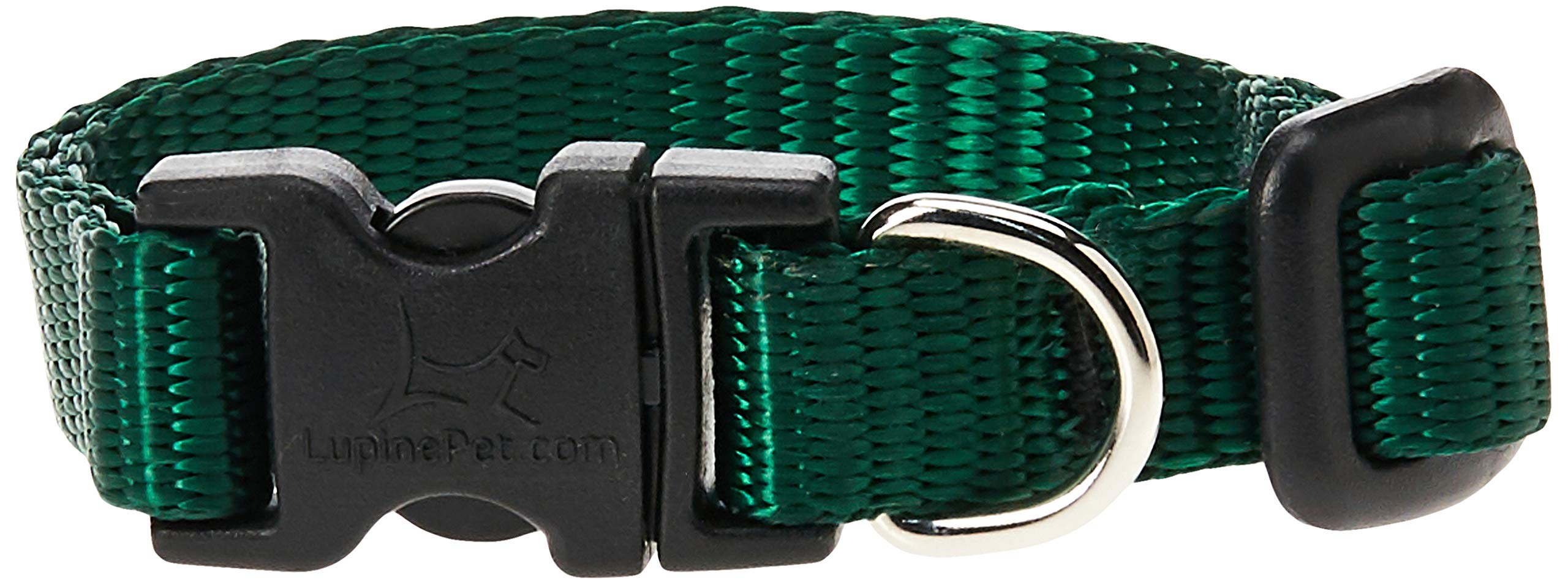 LupinePet Basics 1/2'' Green 8-12'' Adjustable Collar for Small Dogs