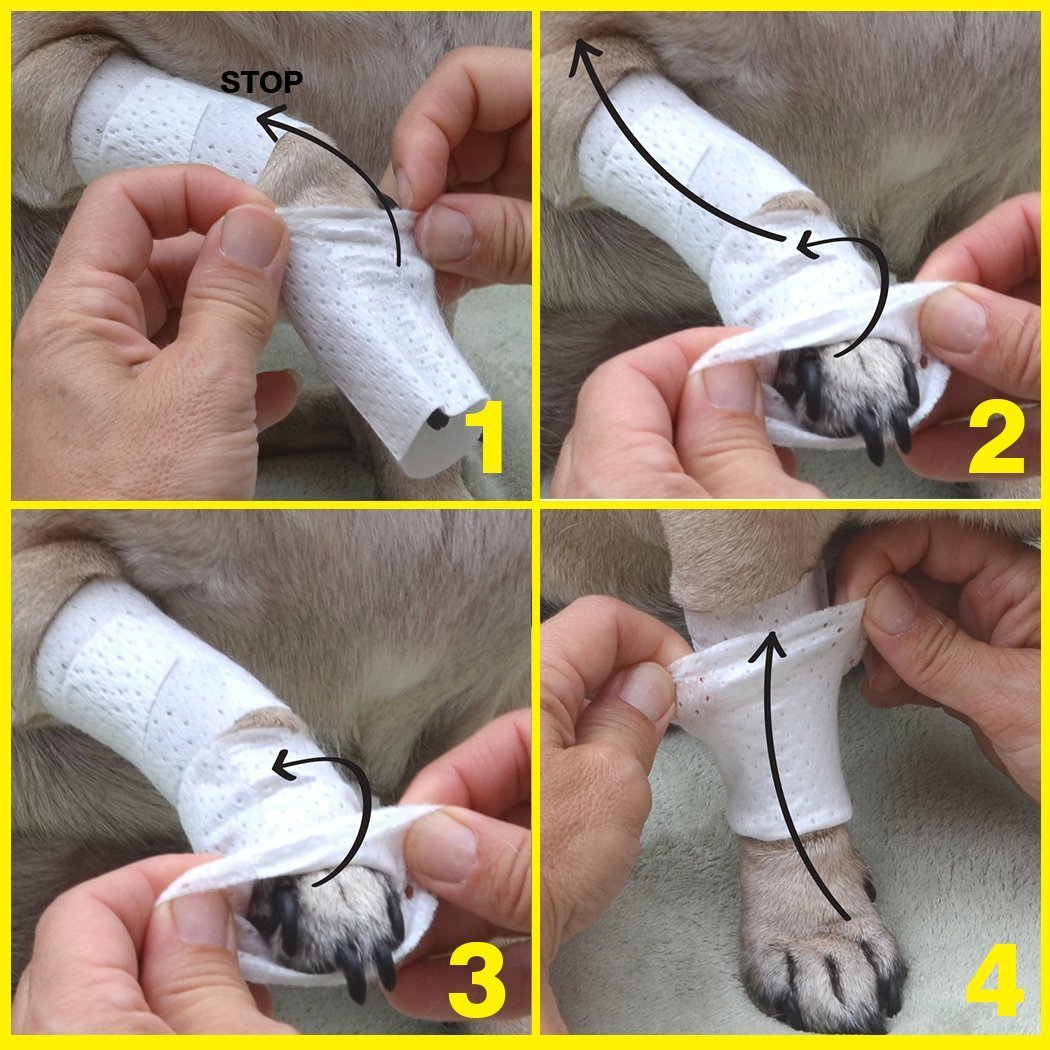 Pawflex Bandages Protective Covers for Pets (Pack of 3) Small