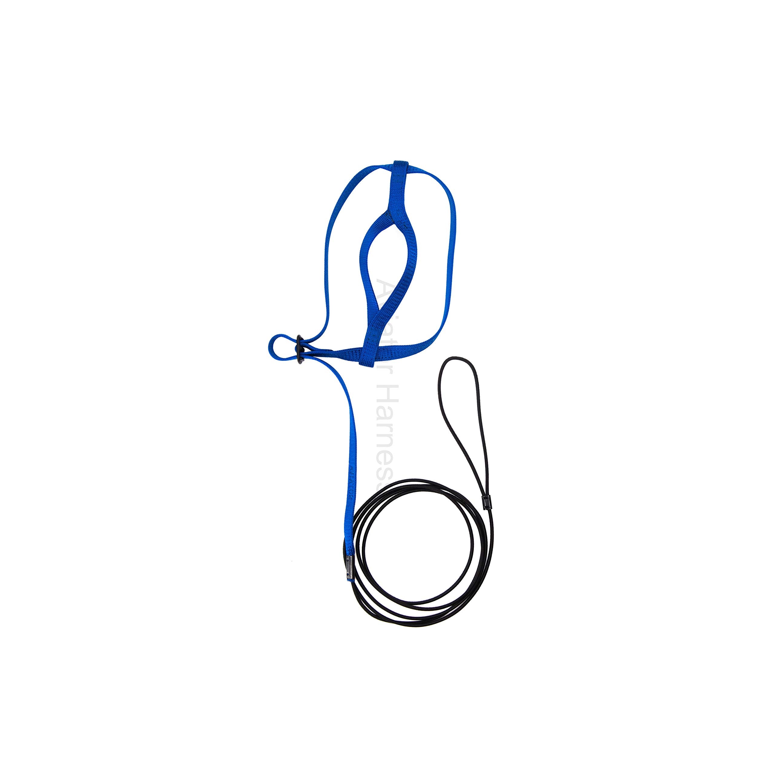 The AVIATOR Pet Bird Harness and Leash: Small Blue