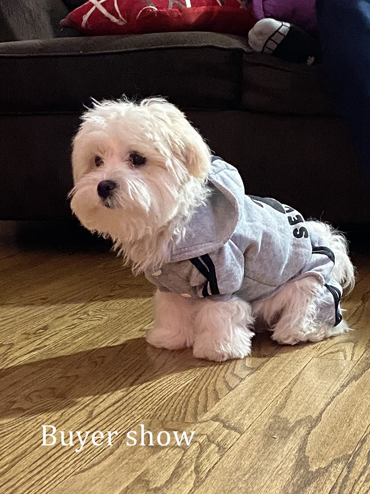 Otunrues Dog Hoodies, Pet Dog Clothes Pullover 4 Legs Jumpsuit Sweatshirt Security Patterns Outfit Doggie Winter Coat Cotton Puppy Hoodied For Small Medium Large Dogs Cats(Gray,Xs)