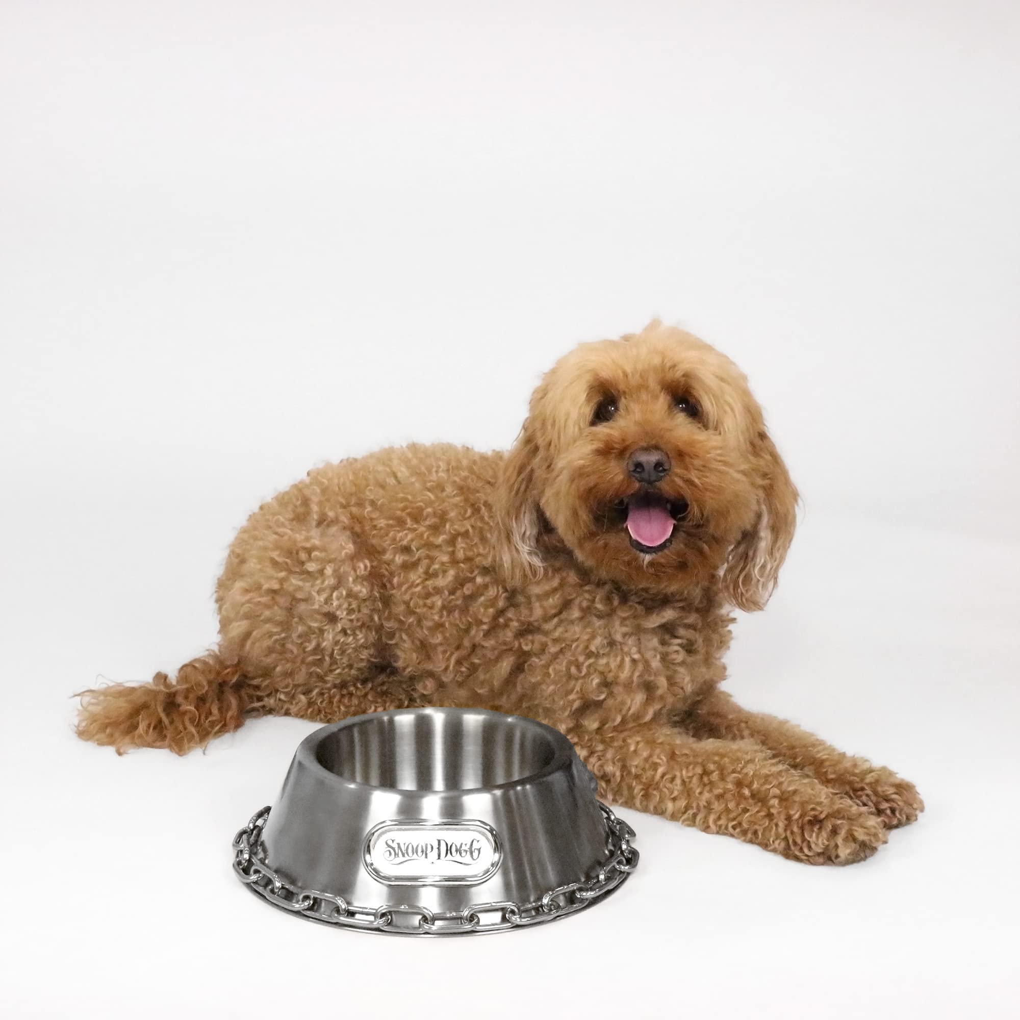 Snoop Doggies Doggs Deluxe Off The Chain Pet Bowl, Steel, Large
