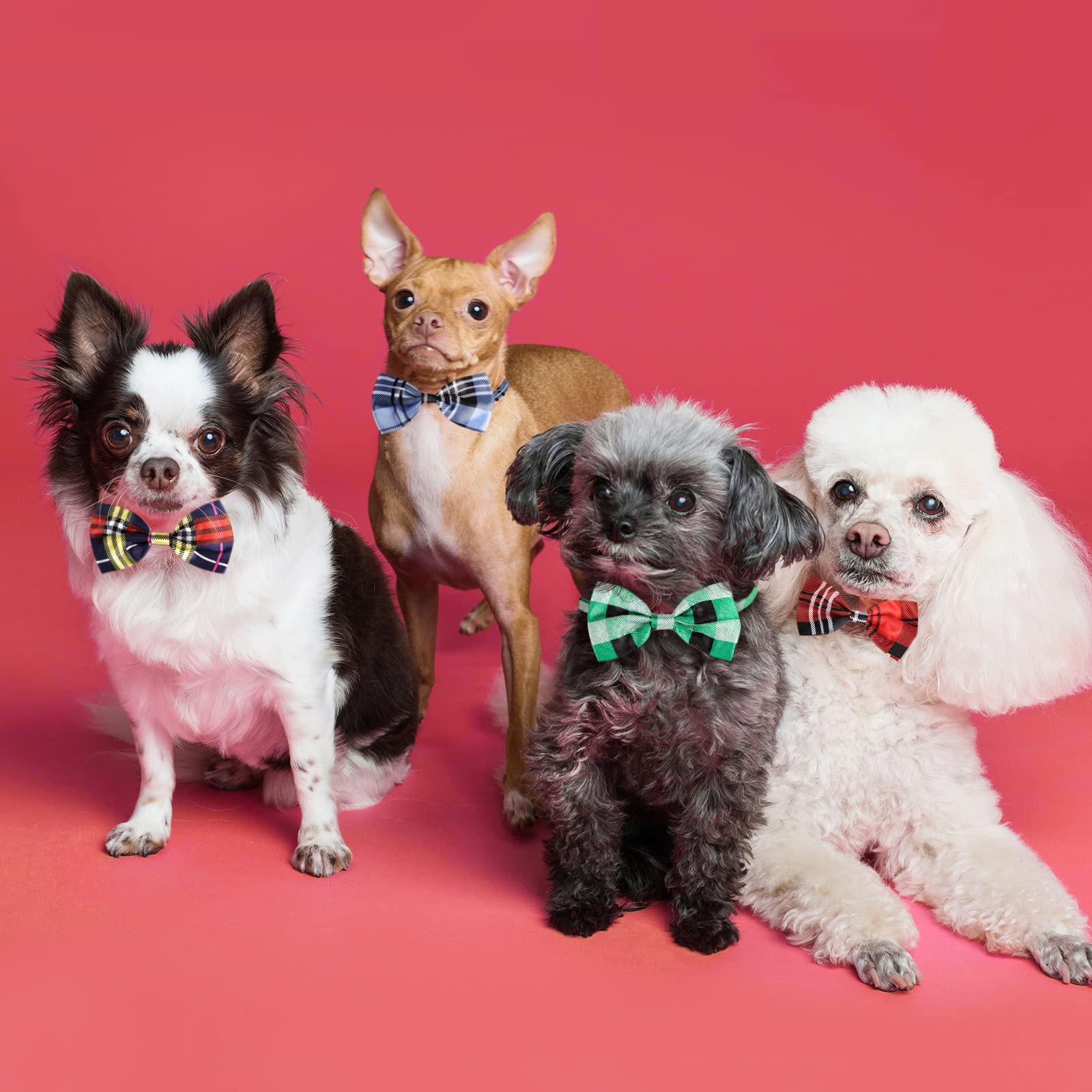 Segarty Dog Bow Ties, 10 Pcs Bulk Pet Bowties, Pet Neck Bows With Adjustable Collar, Grooming Bowknot For Christmas Birthday Holiday Valentine Party Dog Photography Accessories Gift For Puppy Dogs Cat