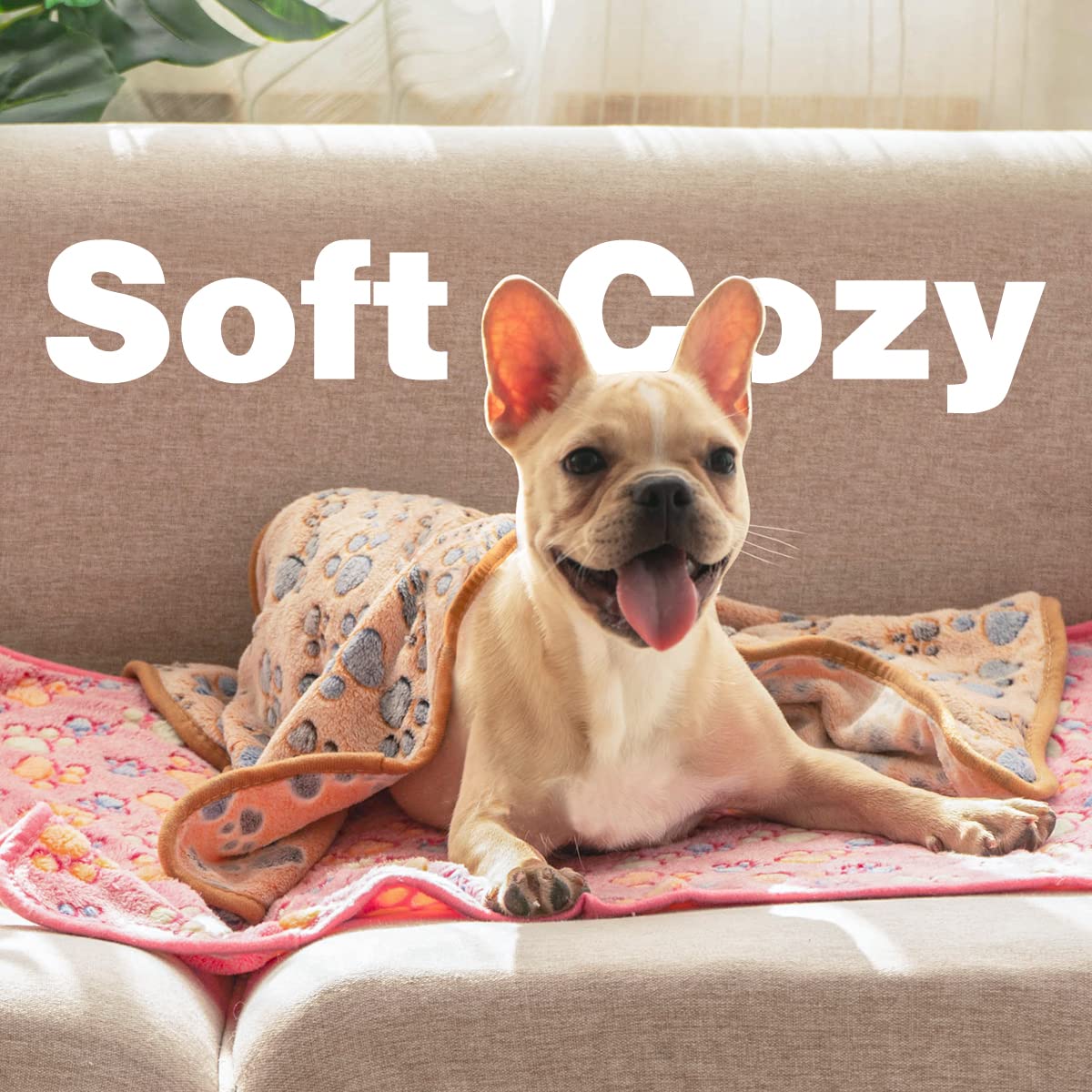 Pet Soft 1 Pack 3 Pet Blankets For Dogs - Fluffy Cats Dogs Blanket For Small Medium & Large Dog, Cute Print Pet Throw Puppy Blan