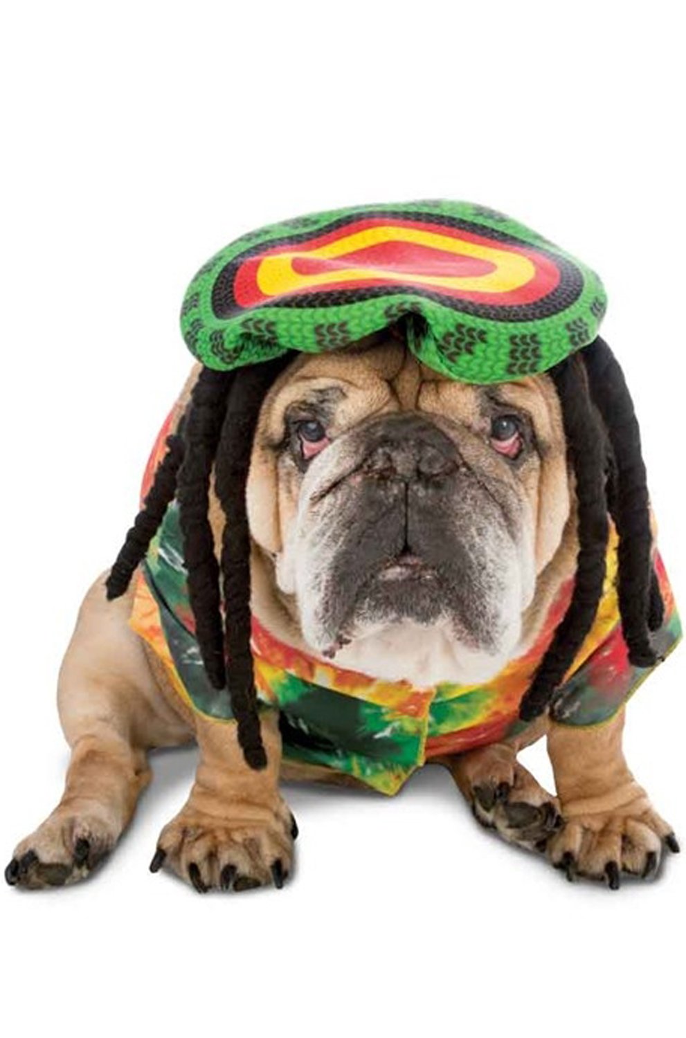 Rasta Imposta Rasta Dog Costume, 3X-Large