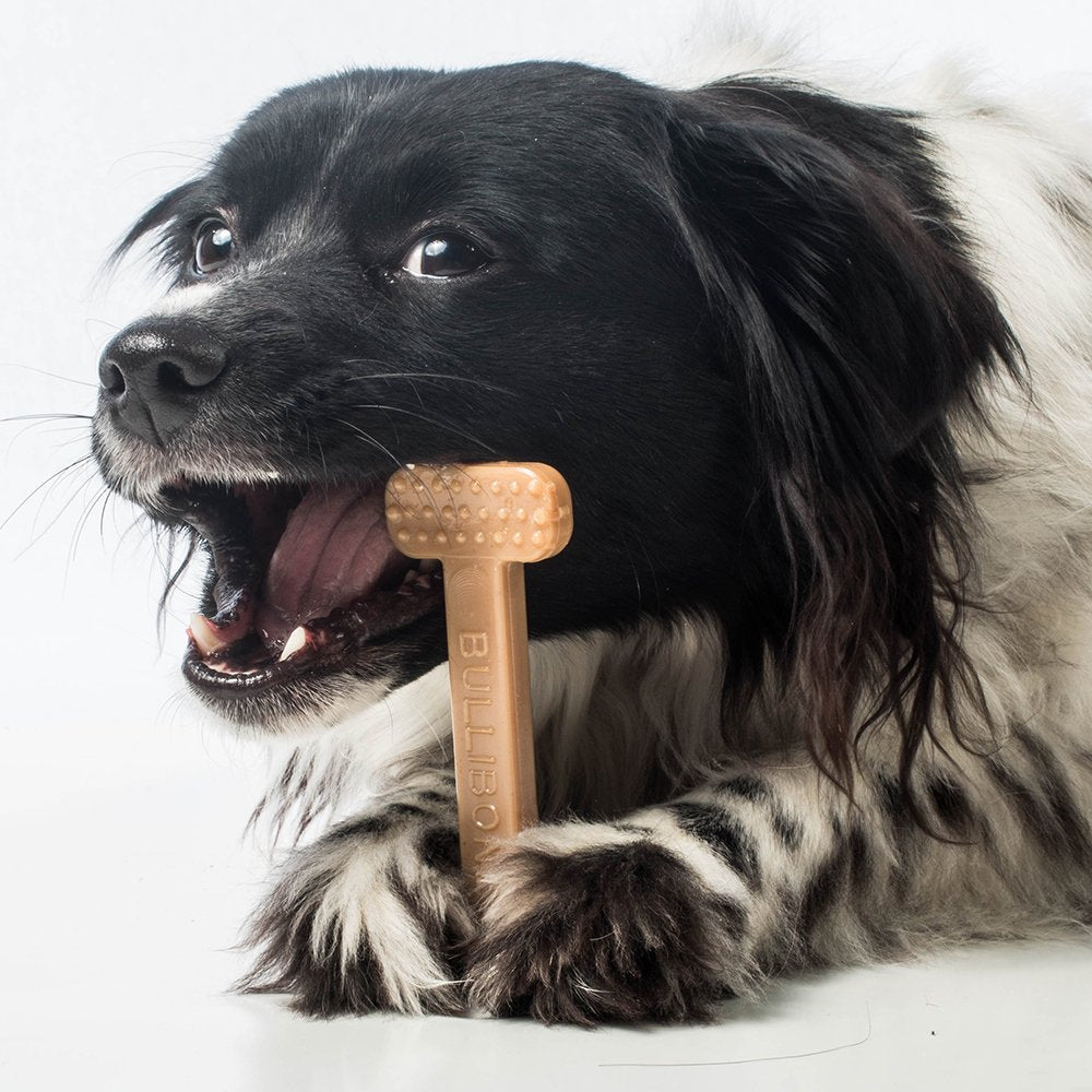 Bullibone Nylon Dog Chew Toy Nylon Bone - Improves Dental Hygiene, Easy To Grip Bottom, And Permeated With Flavor (Beef, Small -