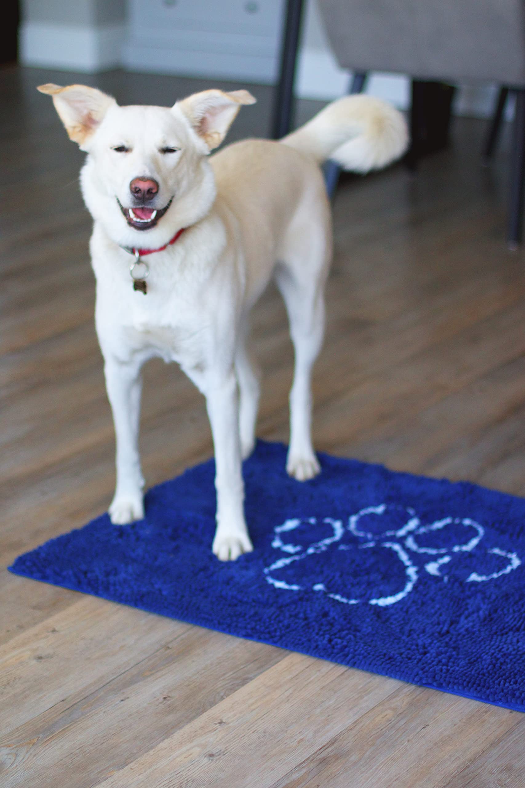 Dog Gone Smart Dirty Dog Doormat - Fast Drying Rug with Super Gripper Backing for Clean Floors - Super Absorbent and Machine Was