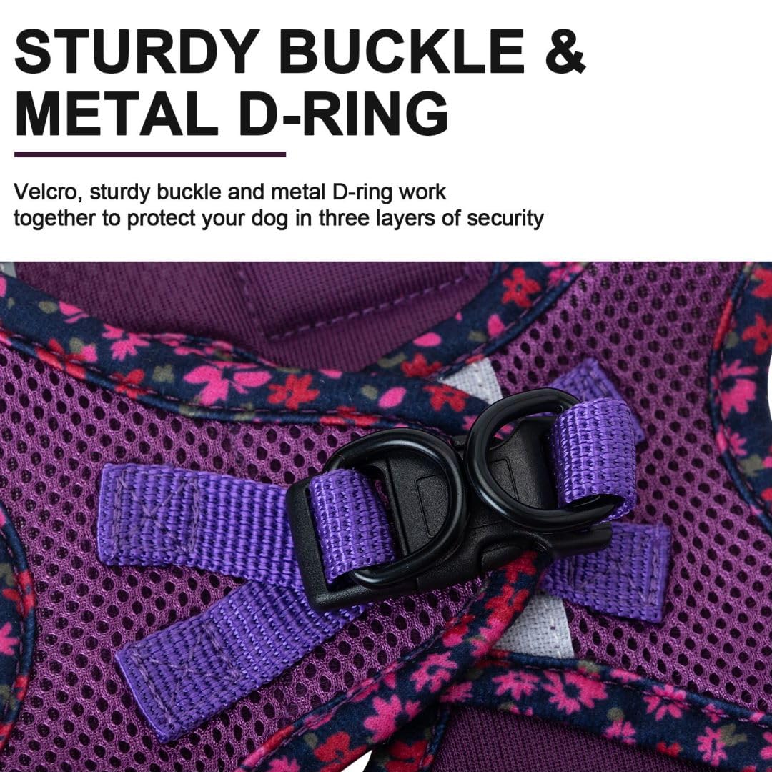 Pina Dog Harness and Leash Set - No Pull, Adjustable, Breathable Mesh Vest, Size S, Purple - Lacework