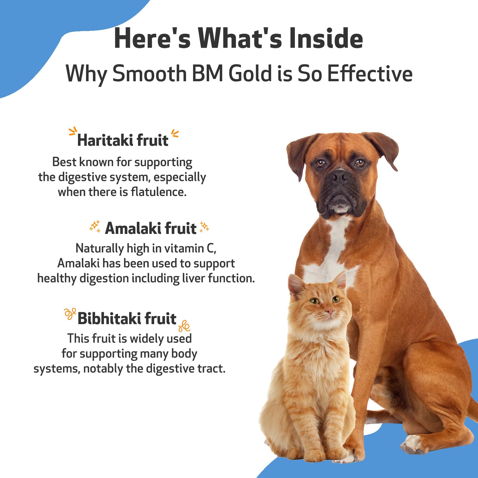 Pet Wellbeing Smooth BM Gold for Dog & Cats - Supports Healthy Bowel Movements, Normal Consistency, Gastrointestinal Health, Tri