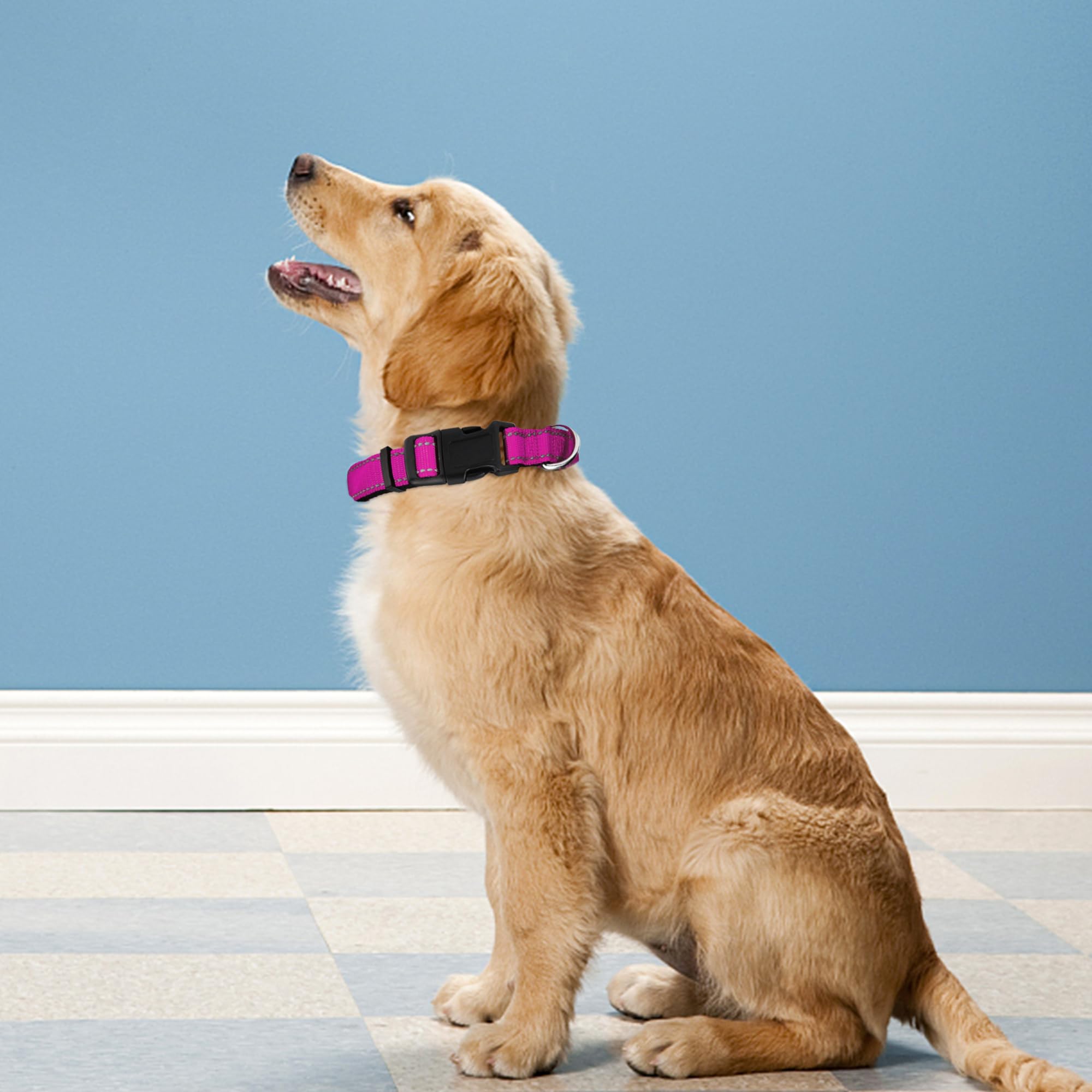 Pwod Reflective Dog Collar, Adjustable Soft Neoprene Padded Nylon Pet Collars With Buckle For Large Dogs, Rose Red,L