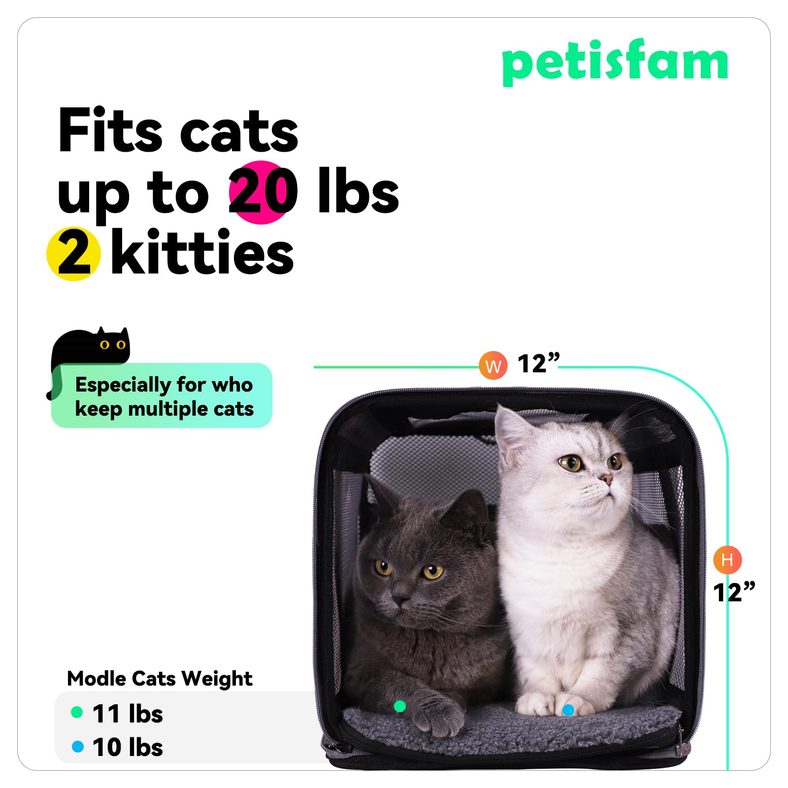 petisfam Soft Pet Carrier Bag for Cats & Puppies, Grey, 17"x12"x12", Lightweight Nylon, Model PC20M, Sturdy & Comfortable