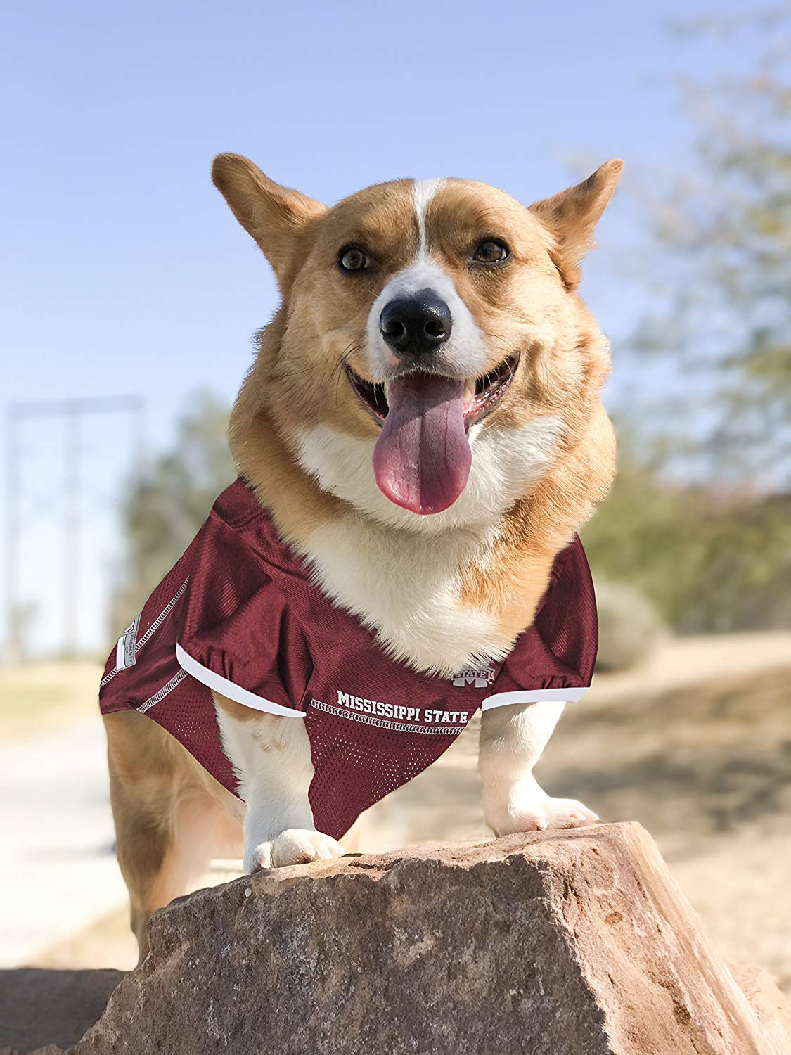 Pets First NCAA College Mississippi State Bulldogs Mesh Jersey for DOGS & CATS, Medium. Licensed Dog Jersey with your Favorite F