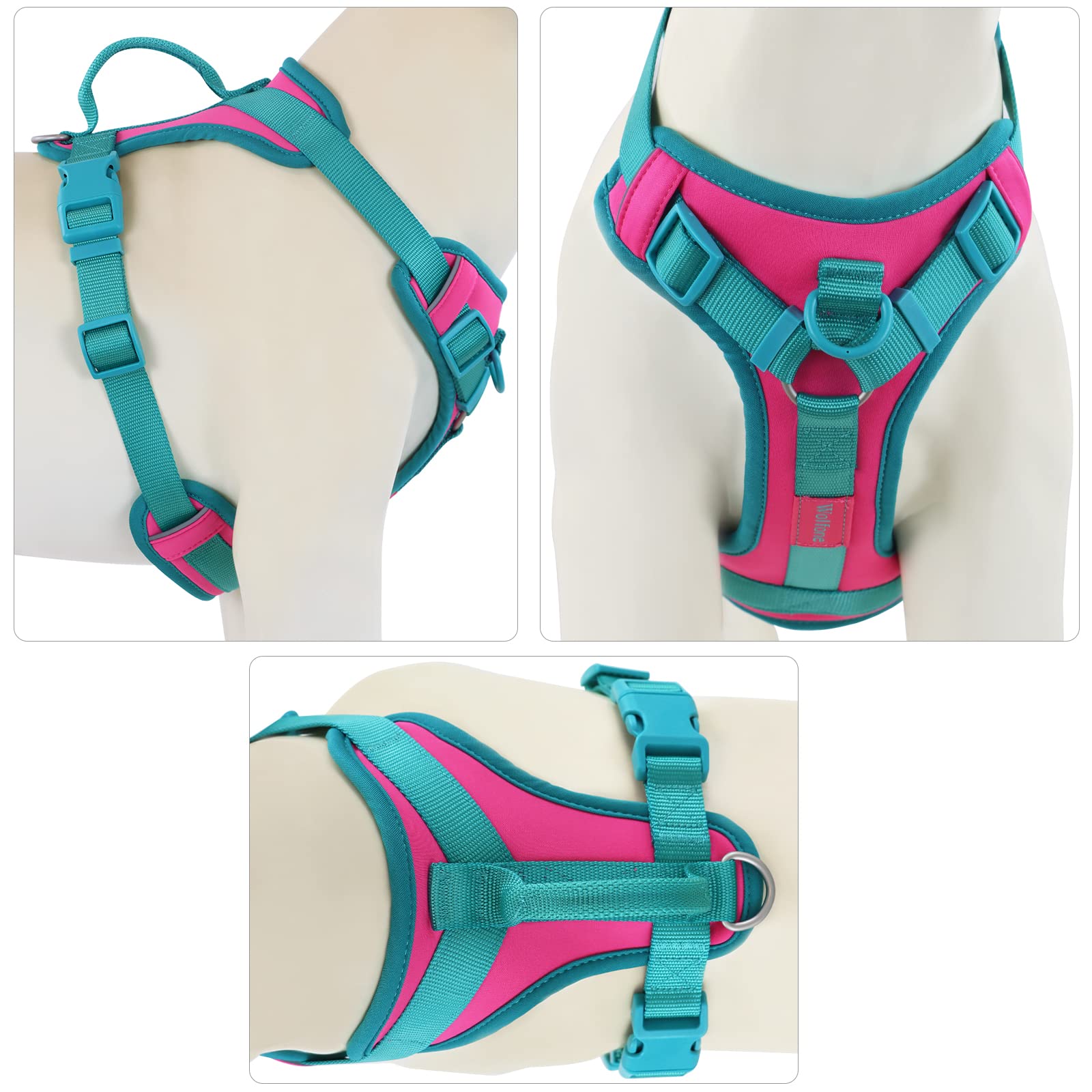 Wolfone No Pull Dog Harness Adjustable Soft Padded Pet Vest With Control Handle Adorable Daily Harness For Dogs(Pink Peacock Xl)
