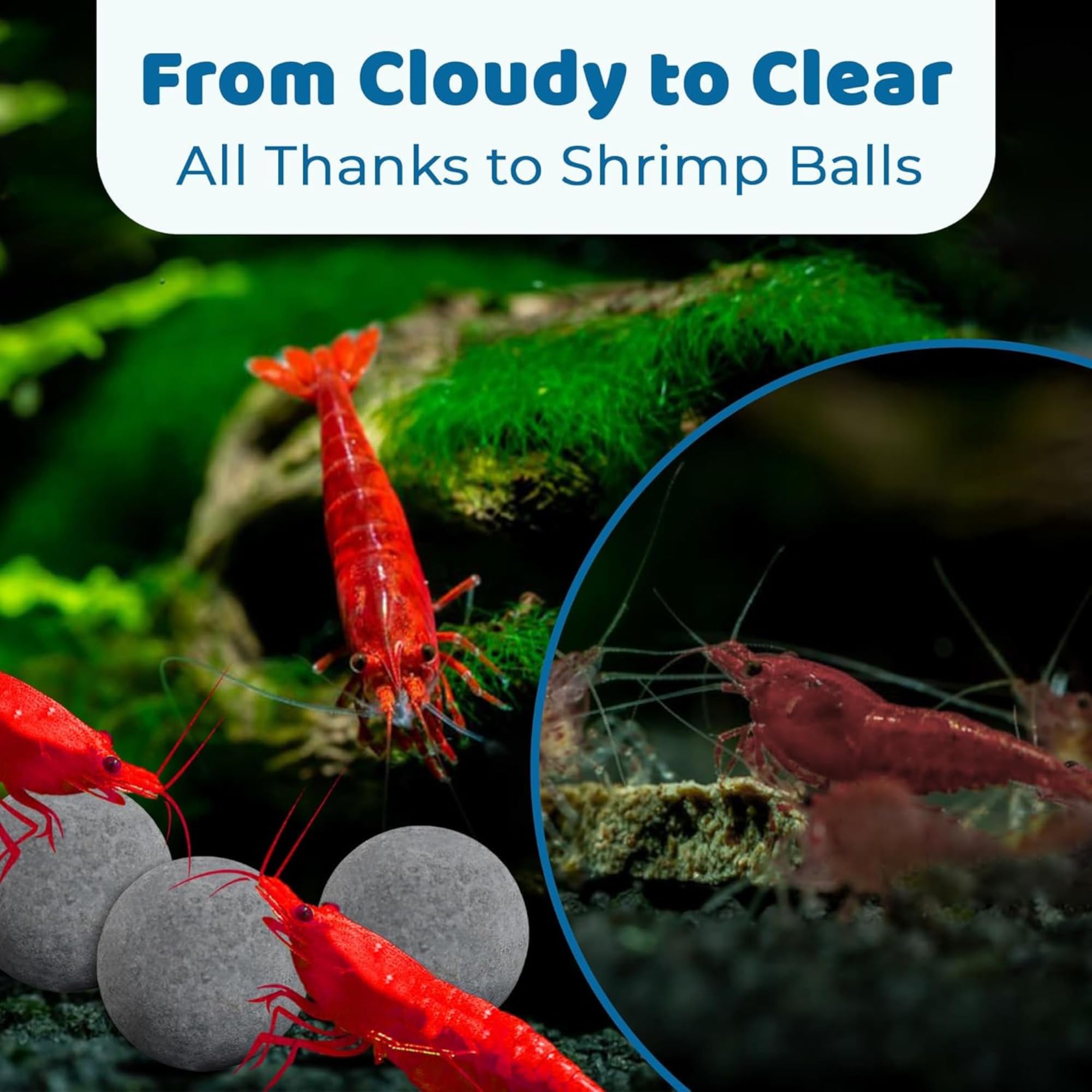 SunGrow Shrimp Water Conditioner Balls, 0.4    Calcium-Rich Balls for Aquarium, Promotes Shedding & Vibrance, 20-Pack