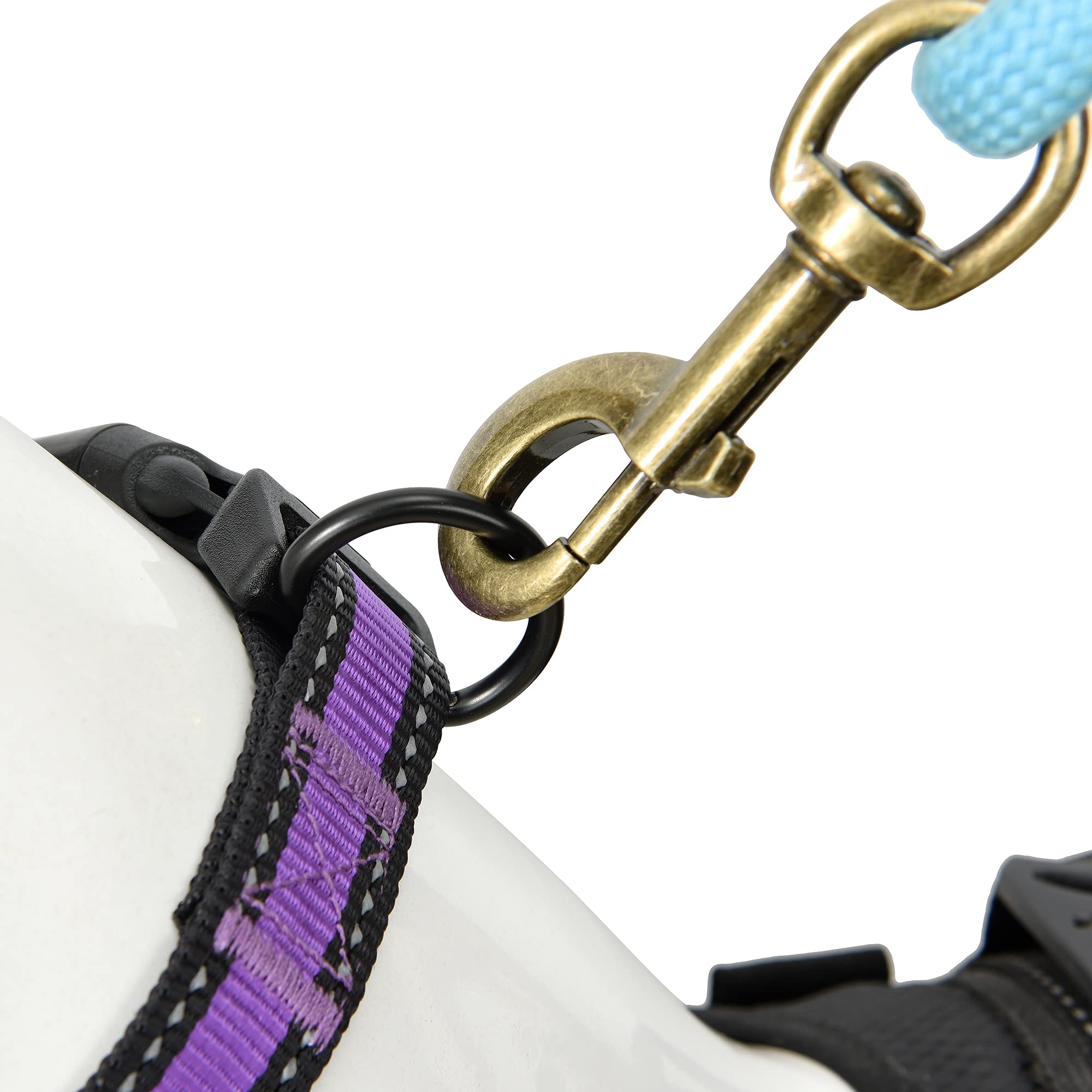 Mile High Life Dog Collar | Nylon Reflective Dog Collars | Light Weight Puppy Collars | Purple Dog Collars For Small Dogs (Purpl
