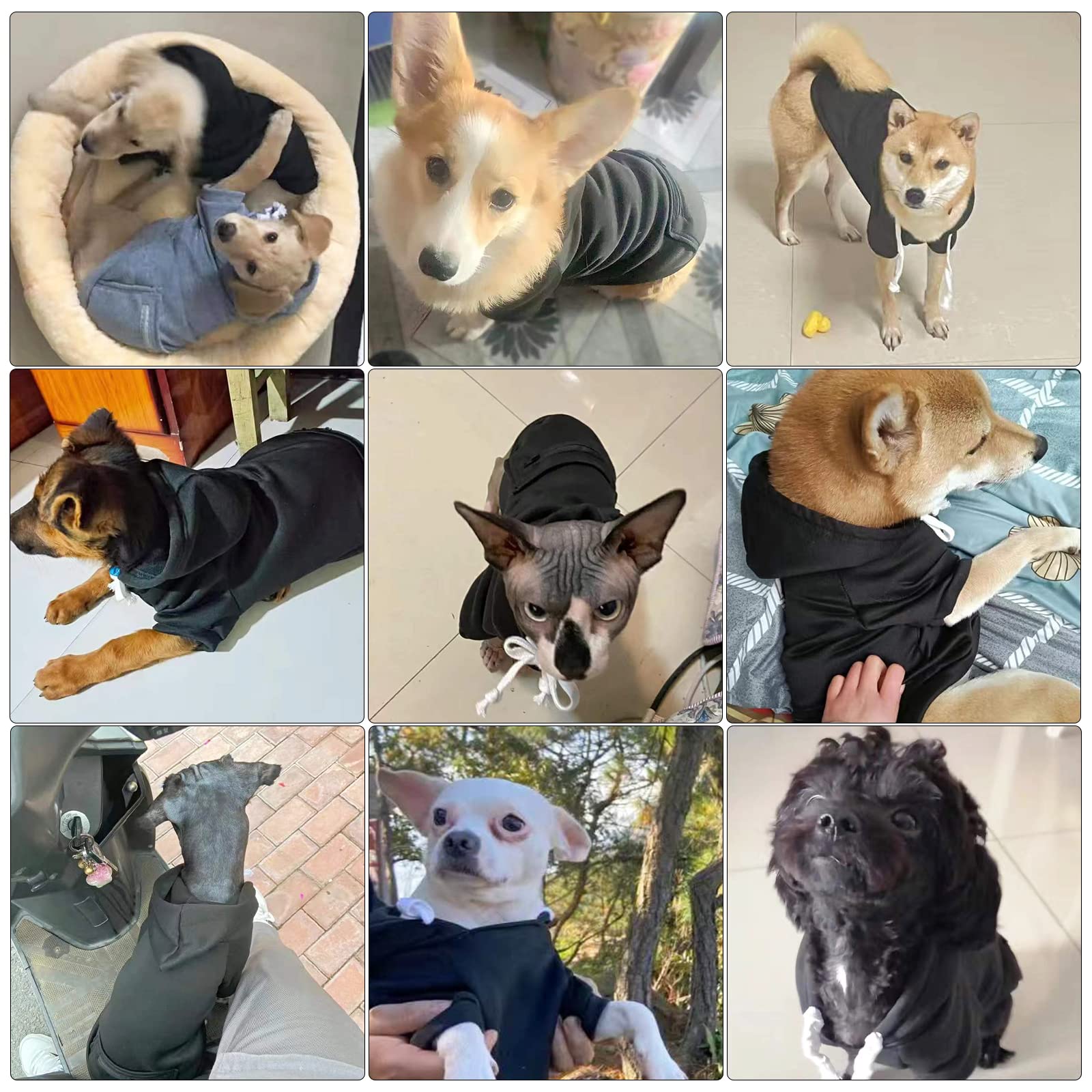 Petcare Pet Dog Hoodie Sweater Black Warm Soft Fleece Sweatshirts With Pocket Fall Winter Puppy Cat Sweaters Clothes For Small D