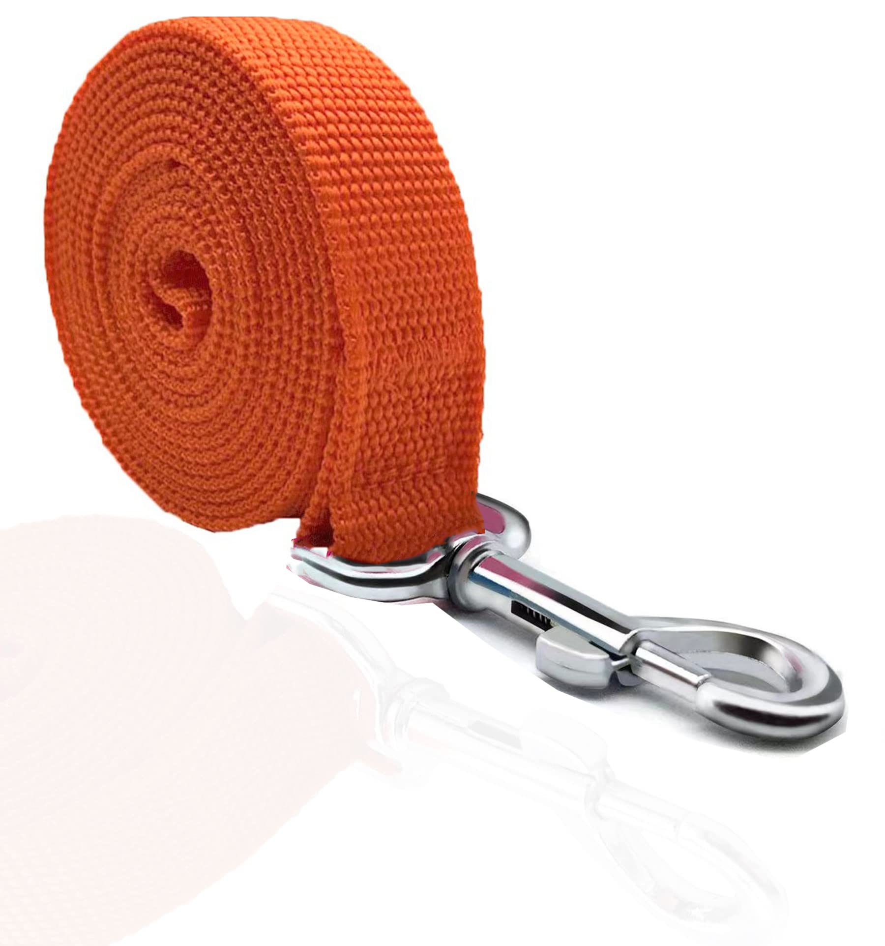 Taian 4 Ft Strong Dog Leash, Nylon Dog Leashes For Small Medium Large Dogs