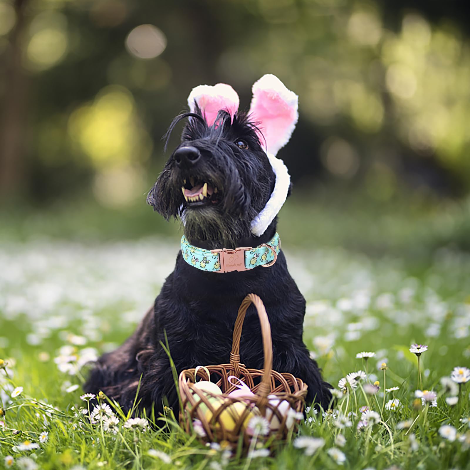 Babole Pet Easter Dog Collar, Cute Easter Chick Pet Collar With Metal Buckel, Durable Adjustable Holiday Dog Collars For Small M