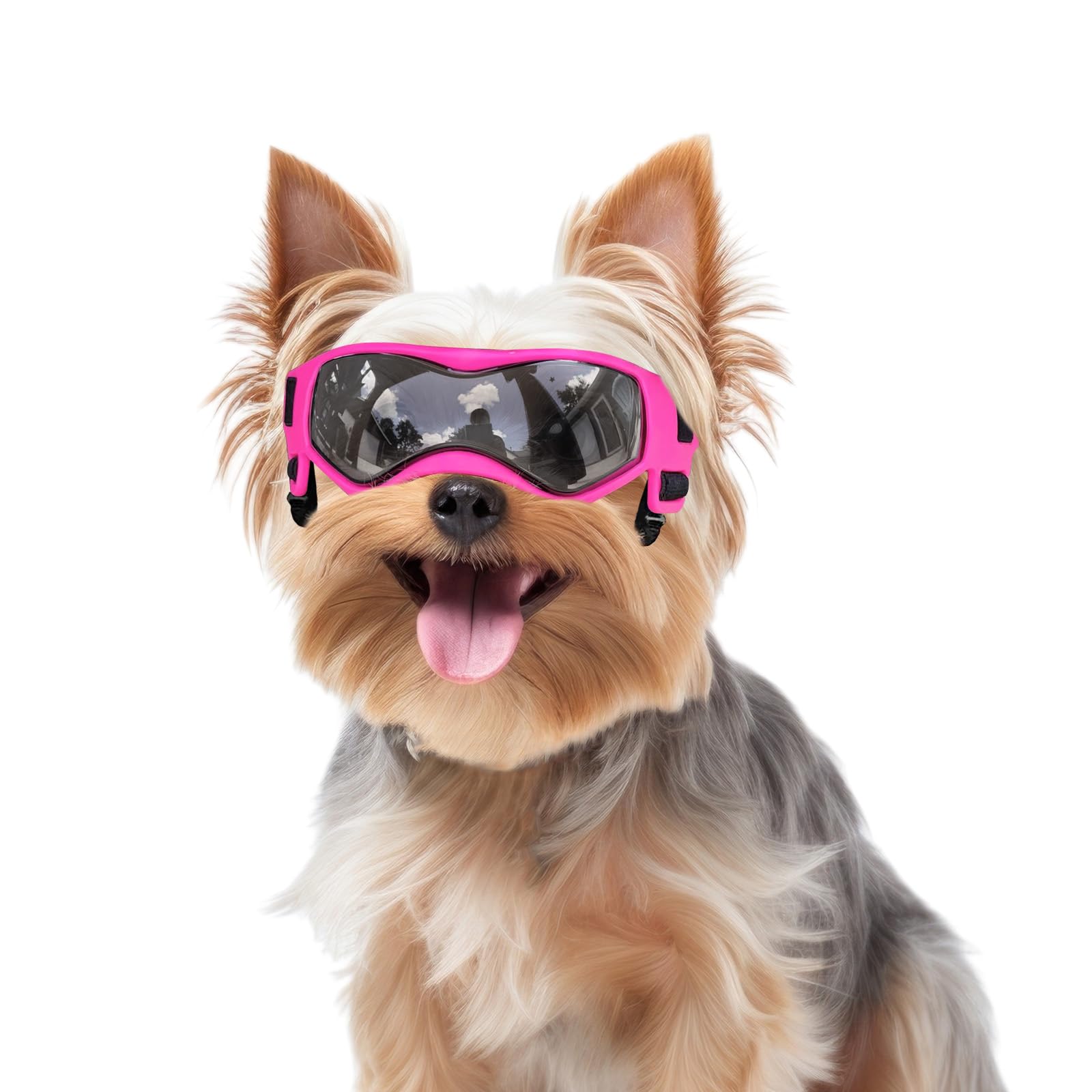 Petleso Dog Goggles Small Breed, Dog Sunglasses Small Breed Dog Eye Sun Light Protection, Uv Protection Goggles For Dog With Adj
