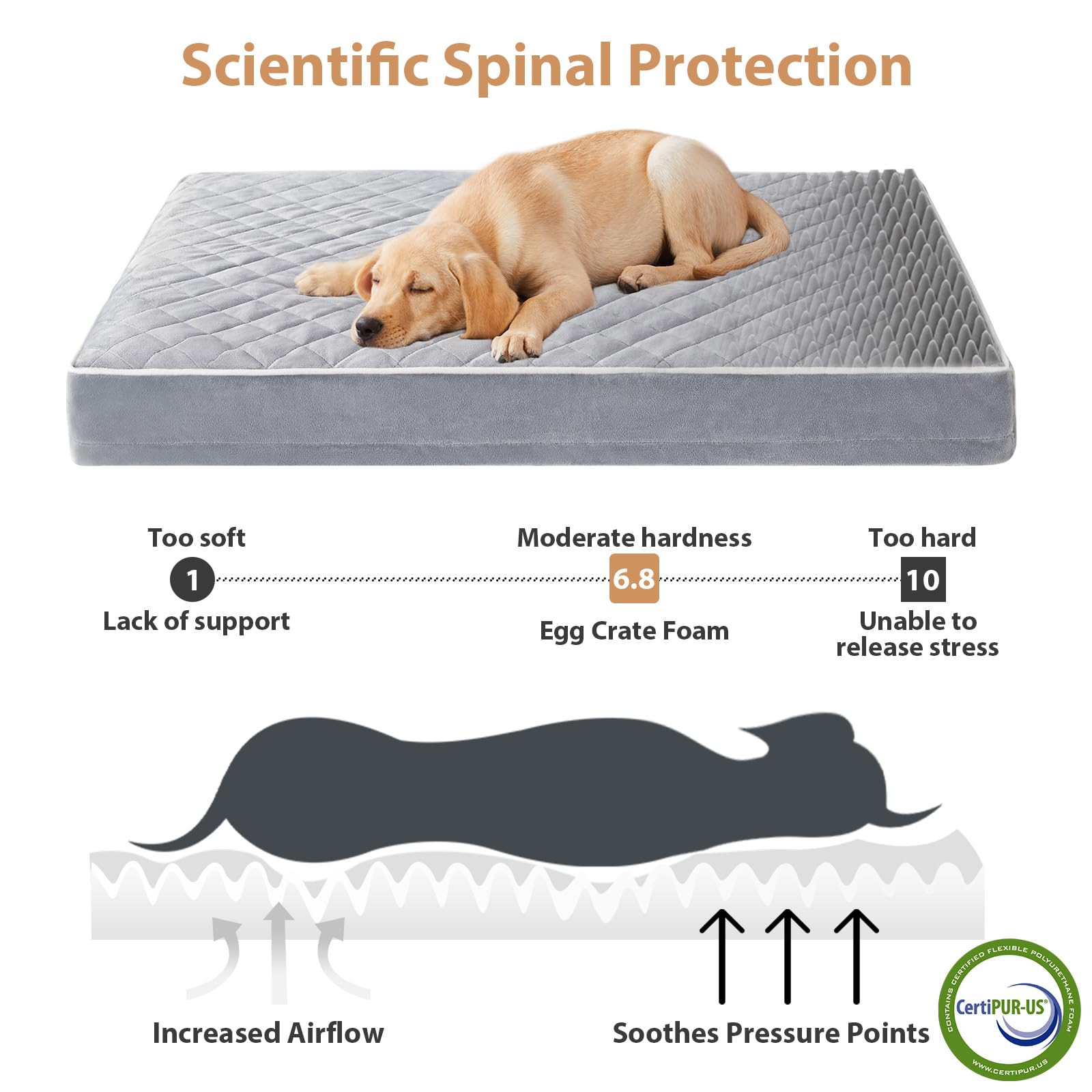 Wnpethome Orthopedic Dog Beds, Extra Large Waterproof With Removable Washable Cover & Anti-Slip Bottom, Egg Crate Foam Pet Bed M