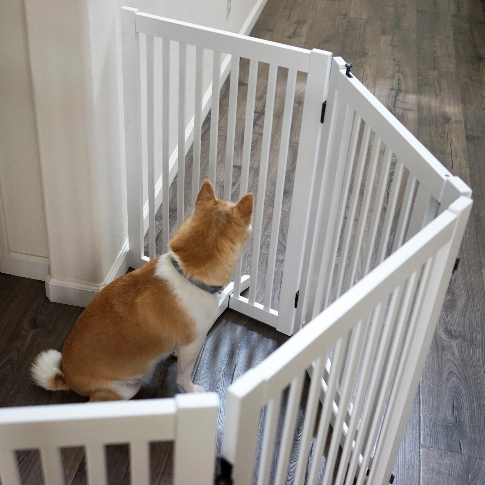 WELLAND Wooden Freestanding Pet Gate, 4 Panel 24 Inch Step Over Fence, Expands Up to 80 '' Wide, Foldable Indoor Dog Gate Puppy