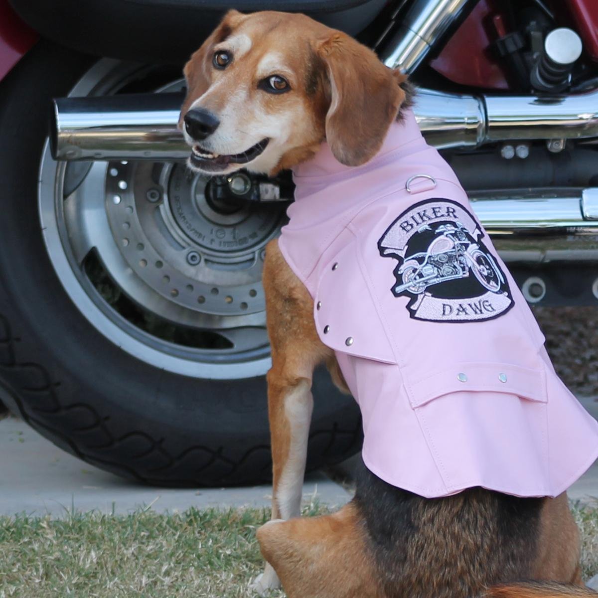 Doggie Design Born To Ride Motorcycle Harness Jacket - Pink