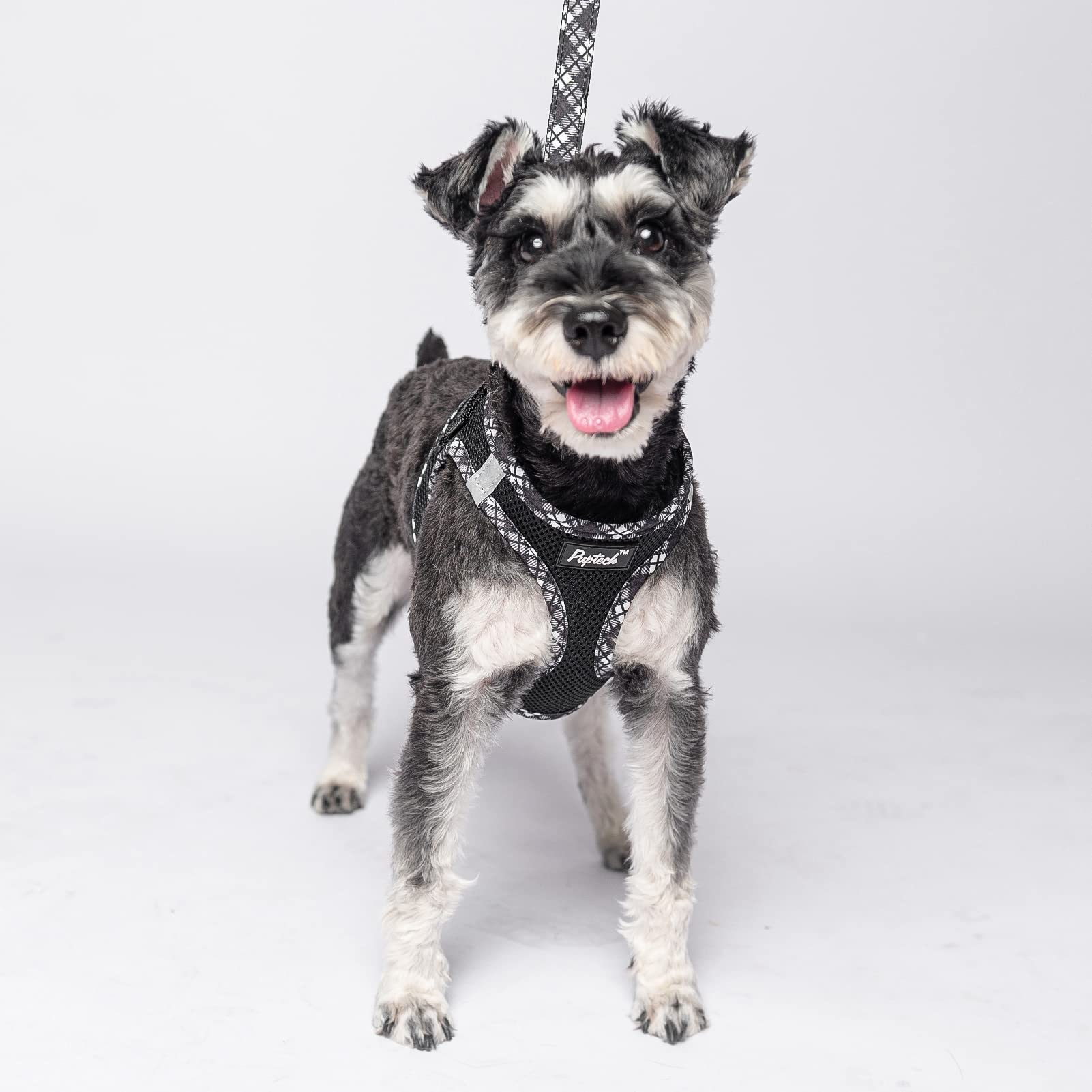 Pupteck Dog Harness And Leash Set For Small Medium Dogs No Pull Step-In Soft Mesh Puppy Cat Vest Harnesses Reflective At Night, Black S