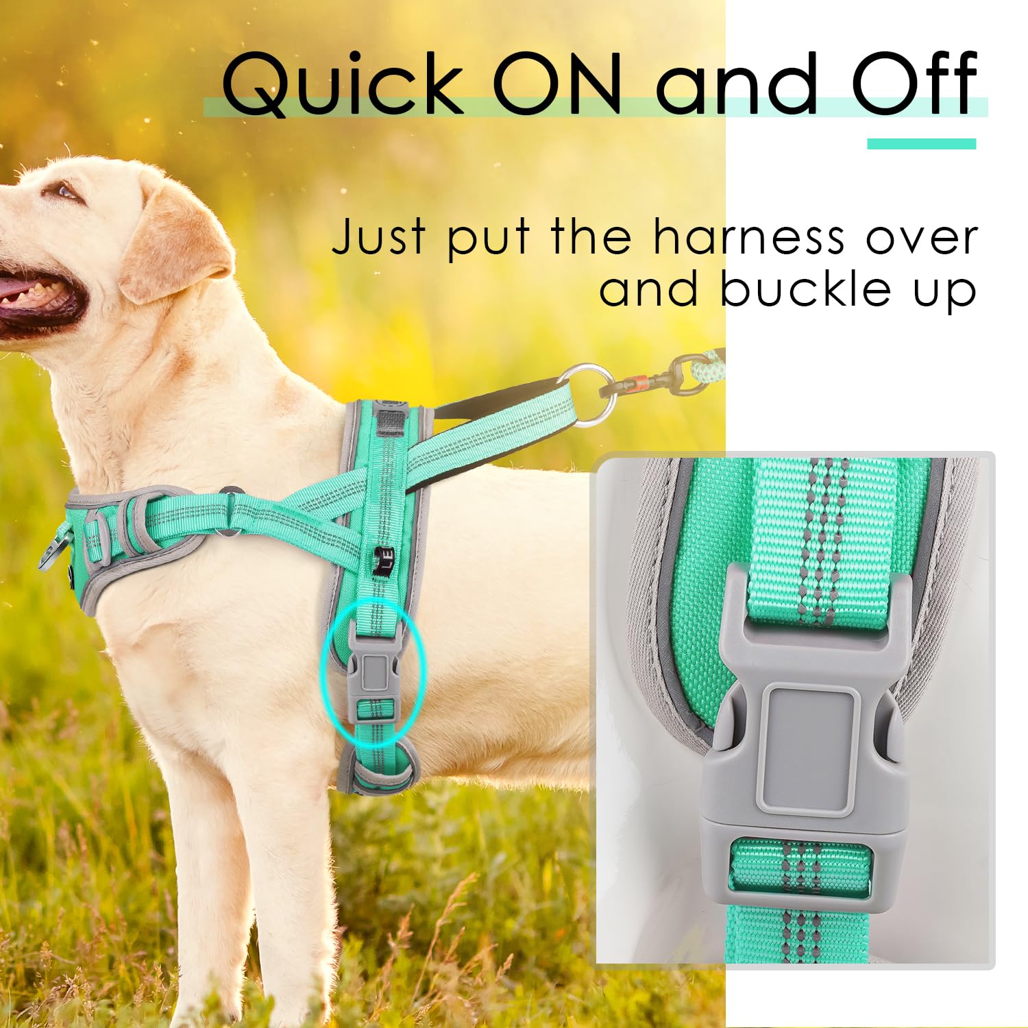 Adventuremore Small Dog No Pull Harness With Reflective Vest, Qr Code Dog Tag, Adjustable Front Clip Handle For Training Walking