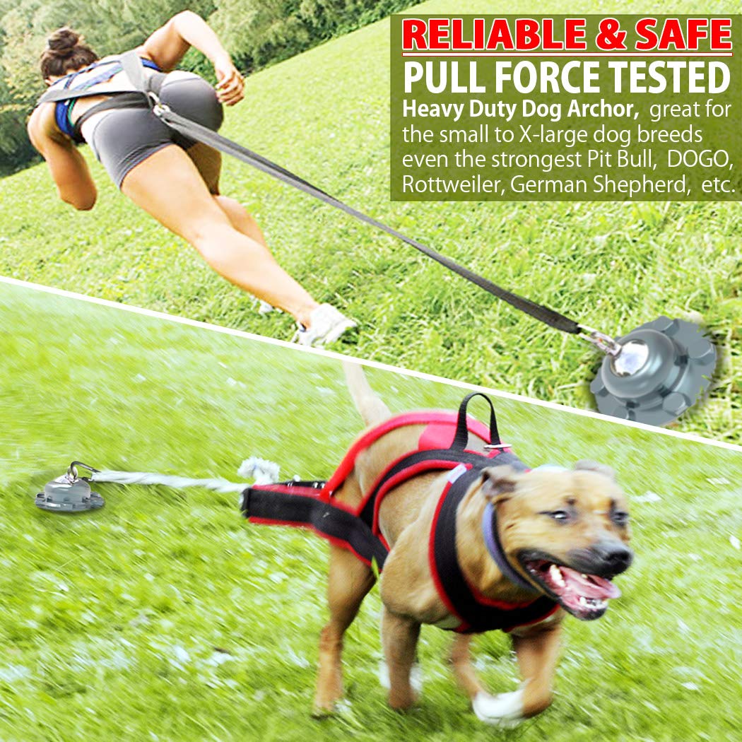 360° Swivel Dog Tie Out Cable And Stake - 2025 Upgrad Stainless Steel Dog Stake Dog Anchor For Small To Large Dogs - No Tangle Reflective Dog Run Cable For Yard (Silver, Stake With 20 Ft Cable)