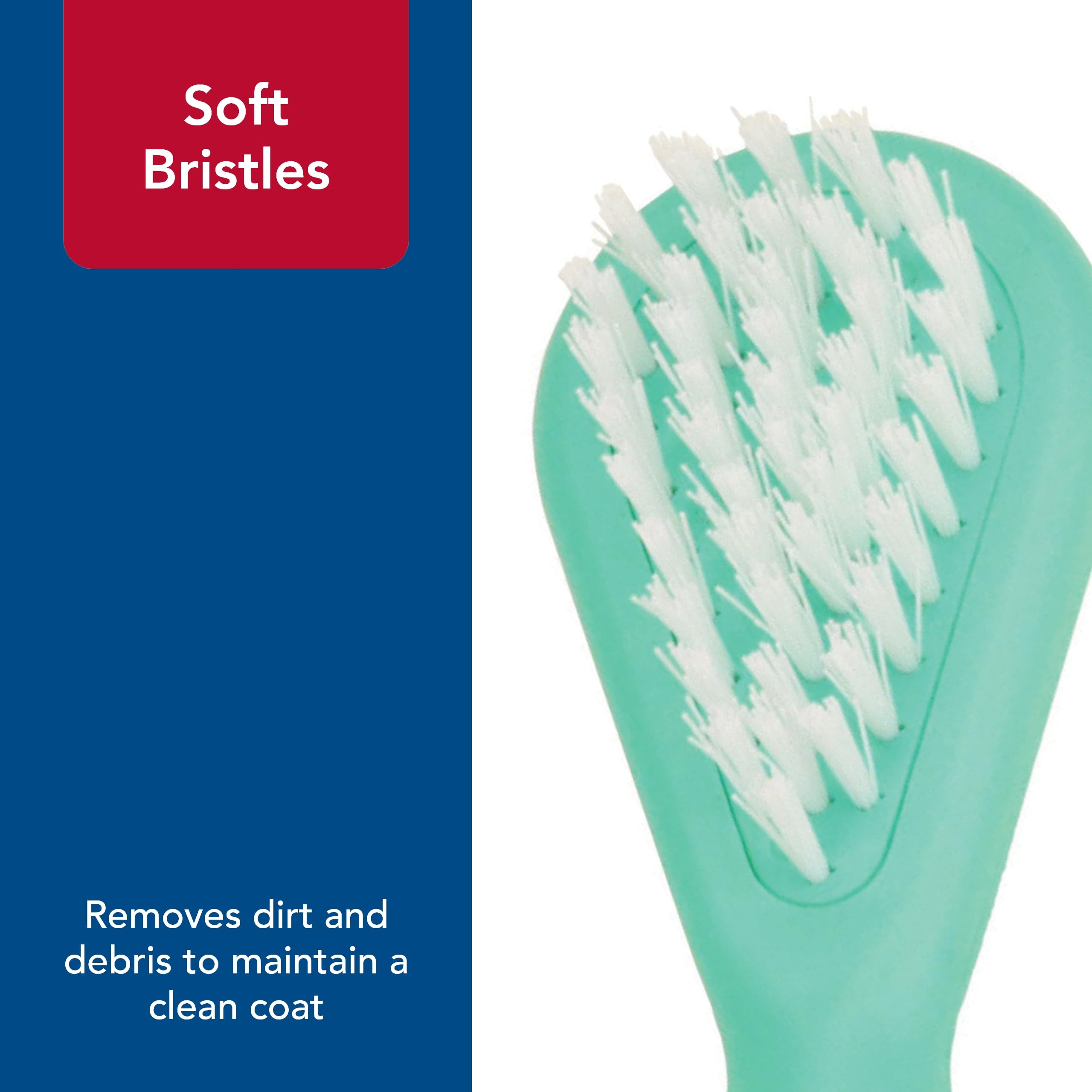 Coastal - Li'l Pals - Dog Bristle Brush and Shedding Comb