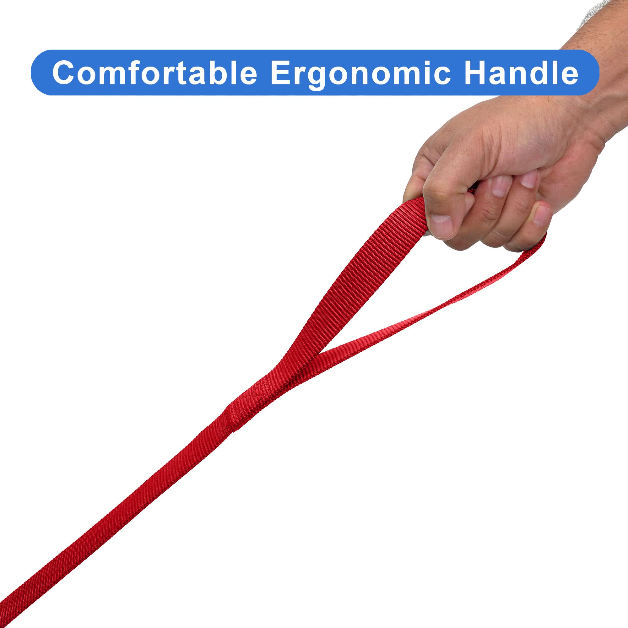 Pawtitas Extra Extra Small 6 Ft Red Solid Color Leash For Miniature Dog, Cat, Puppy Training