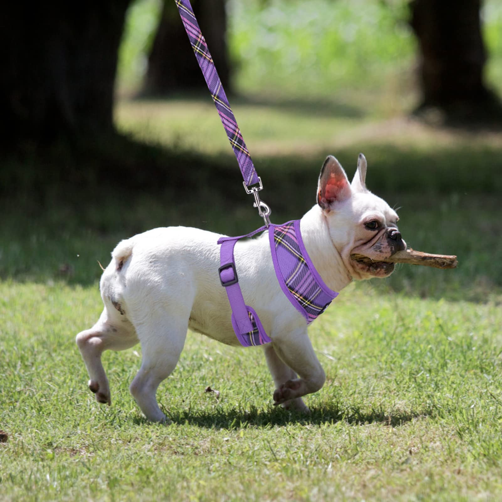 Pupteck Soft Mesh Dog Harness And Leash Set Pet Puppy Cat Comfort Padded Vest No Pull Harnesses, Purple, L