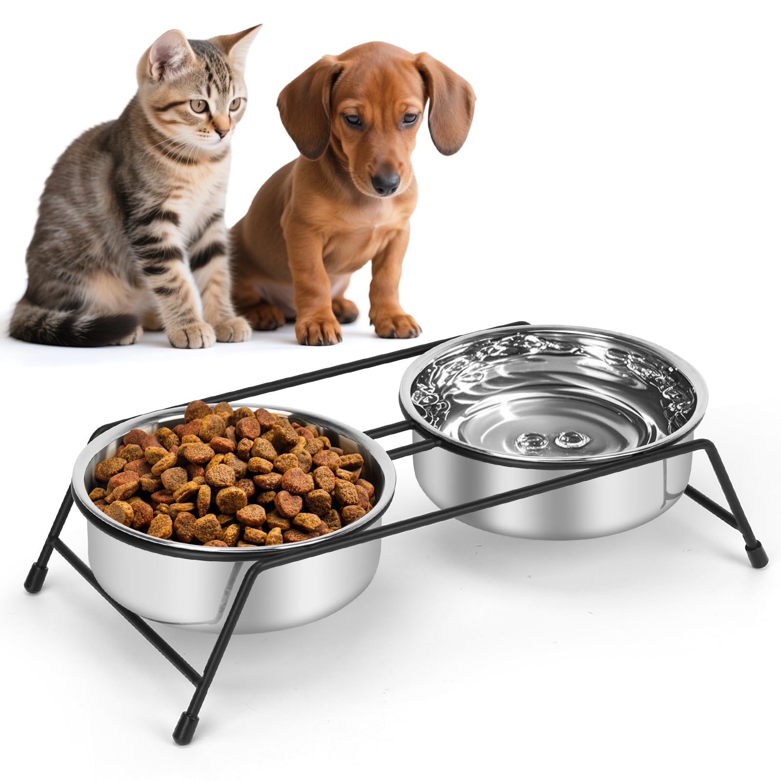 IEBIYO Raised Cat Bowls Cat Feeder Holders 2 Stainless Steel Elevated Pet Water Food Bowl for Cats Puppies Rabbits (2 Bowls)