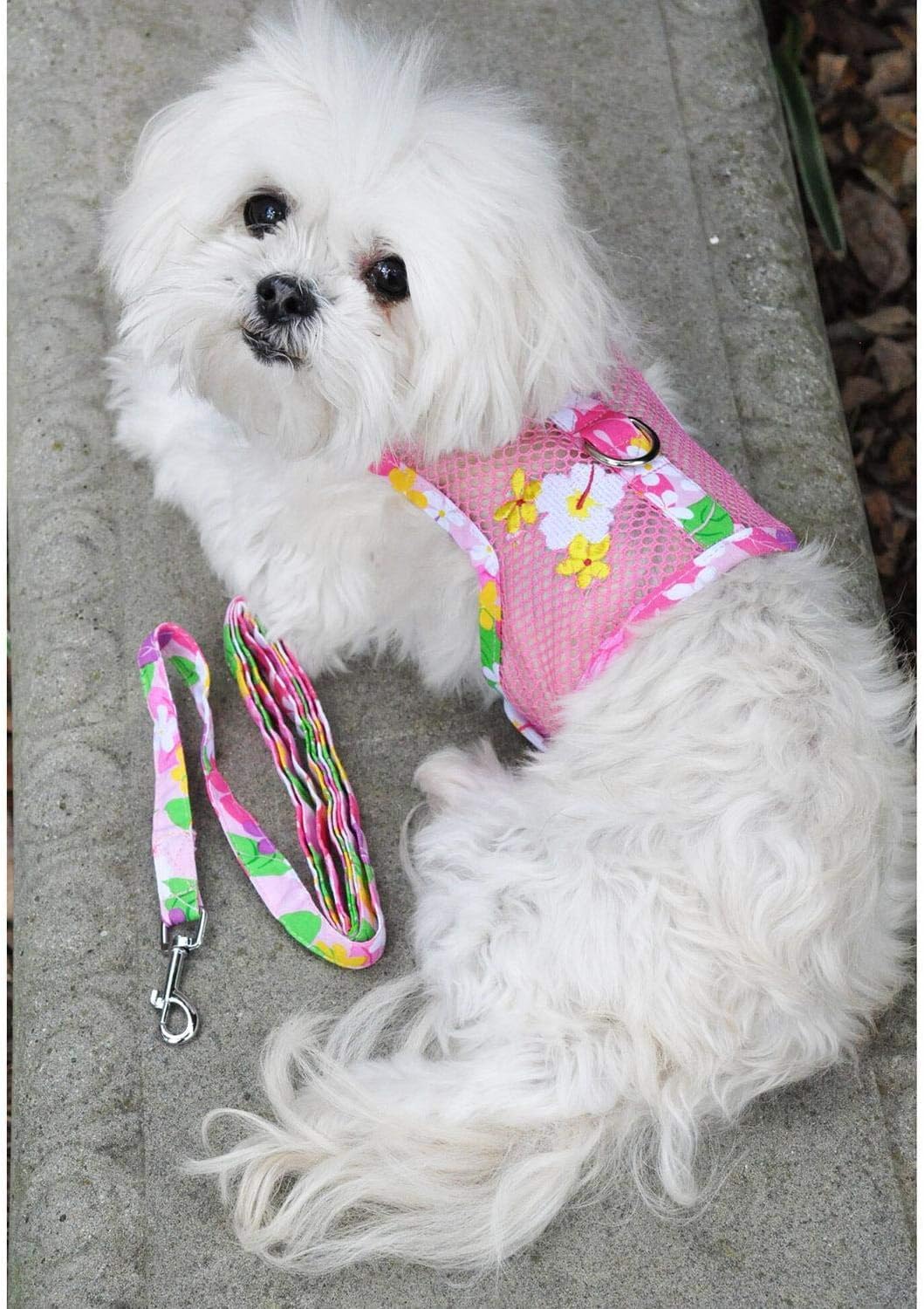Doggie Design Dog Harness - No Choke Harness For Pets, Dog Vest, Mesh Polyester, Simple Step In And Go Design, Reflective Vest F