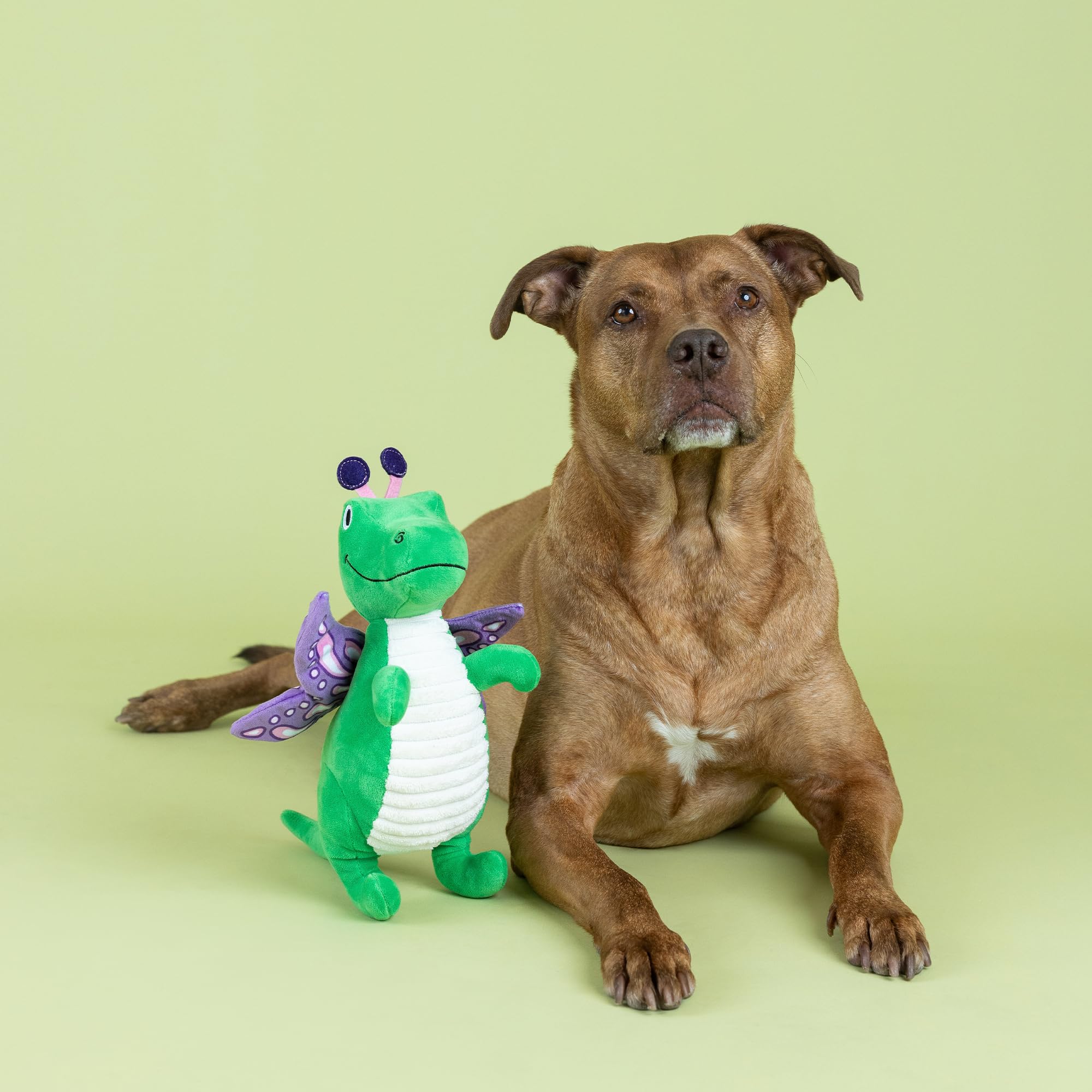 Fringe Studio Flutter REX Plush Dog Toy, Pet Shop Collection (314213)