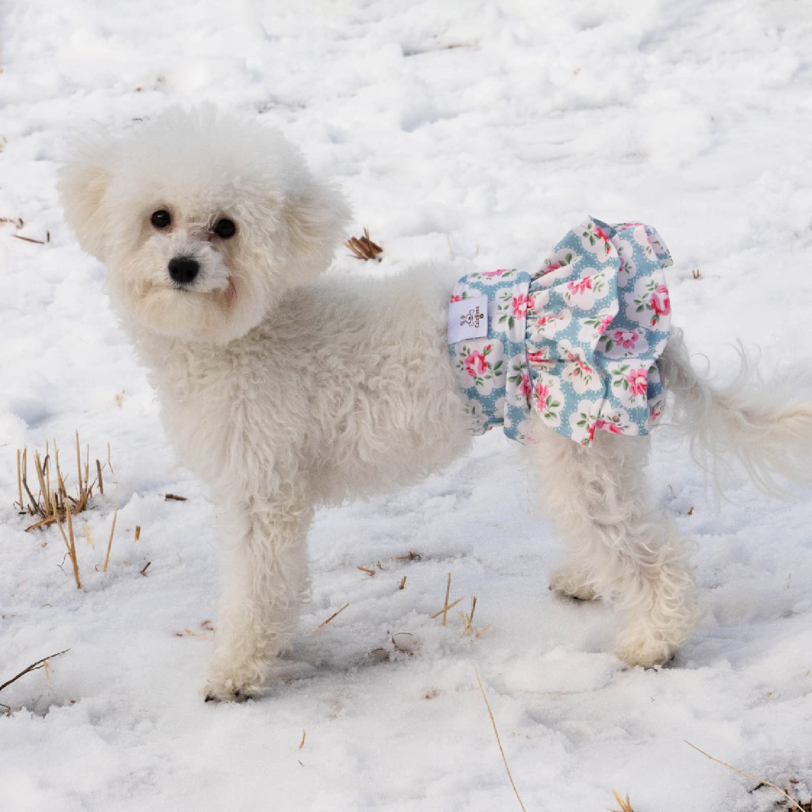 Cutebone Female Dog Diapers With Skirts 3 Pack Reusable Puppy Dresses Pants For Heat Cycle Period Qbd03Xs