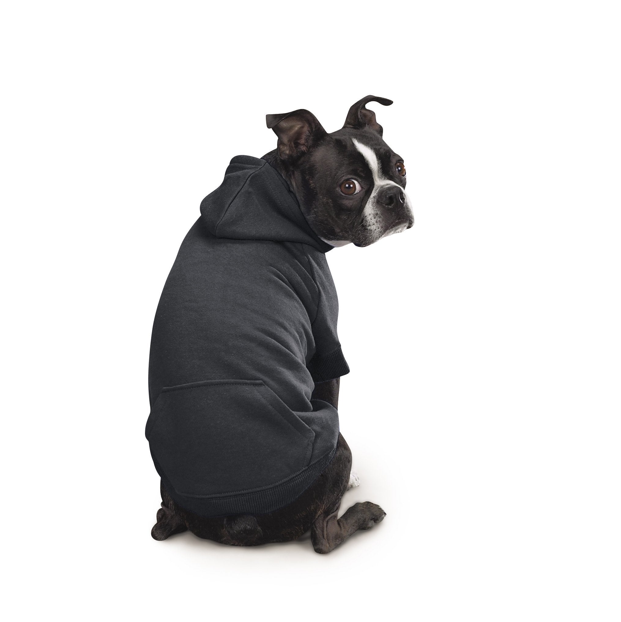 Zack & Zoey Basic Hoodie For Dogs, 20' Large, Jet Black