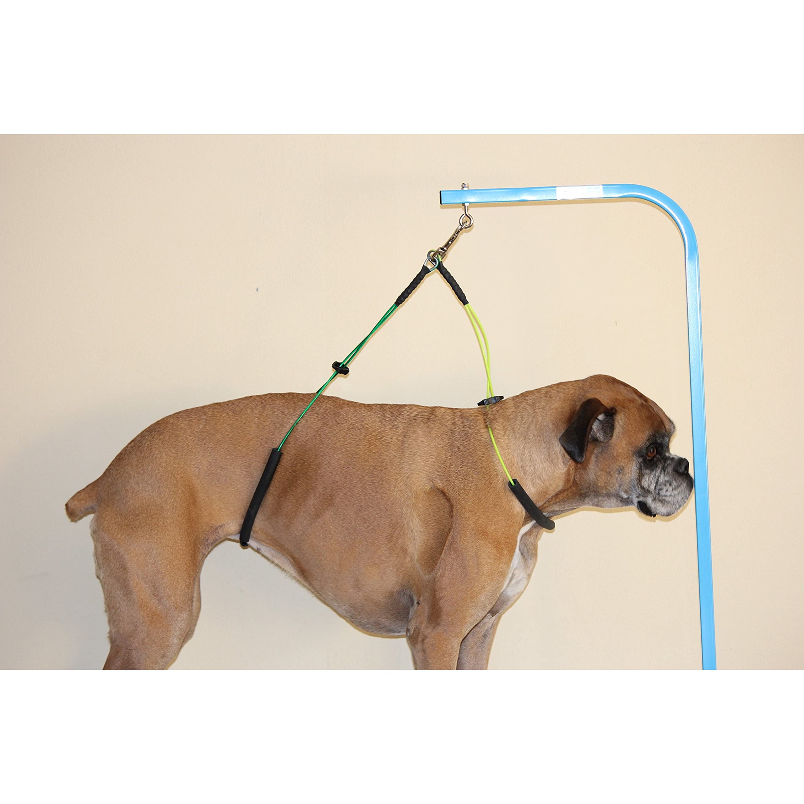 Downtown Pet Supply No Sit Haunch Holder For Dog Grooming Arm And Pet Grooming Table - Dog Grooming Supplies - Stainless Steel Hardware, Rust & Chew Resistant - 19 & 21In - Small/Medium (Haunch Only)