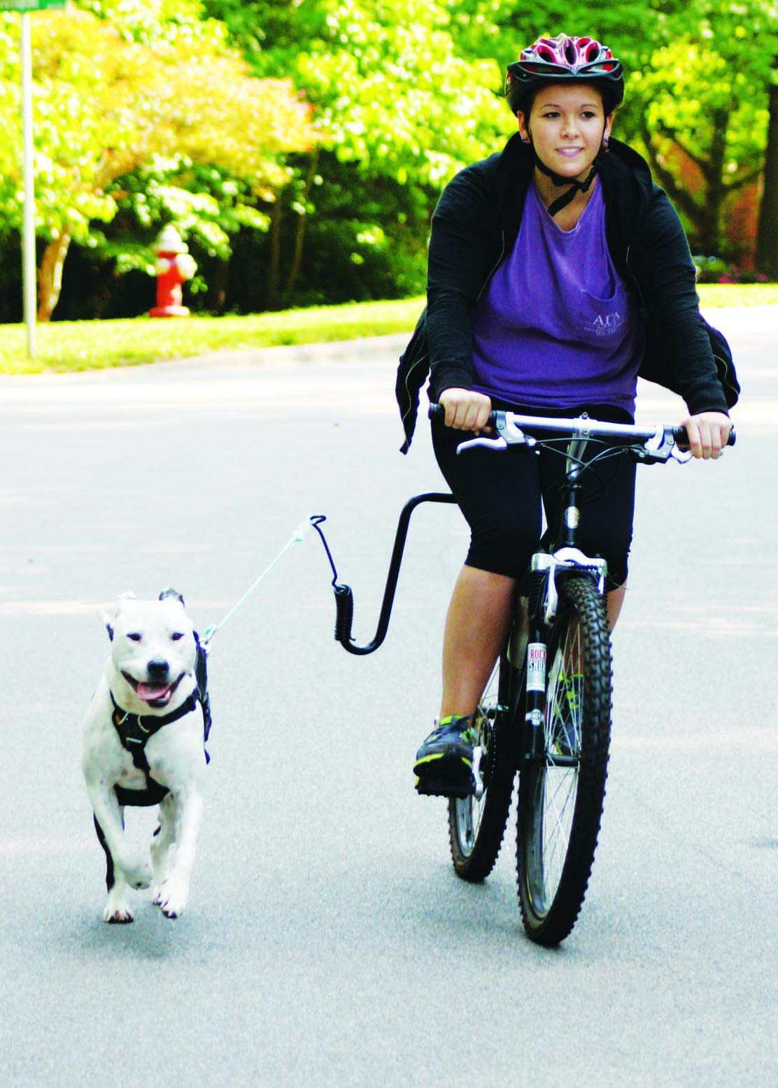 Springer Hands Free Dog Leash Bike Attachment Kit -Pet Exerciser For Running, Walking Jogging - Universal Fit For Bicycles - Quick Release, 18-Inch Rope