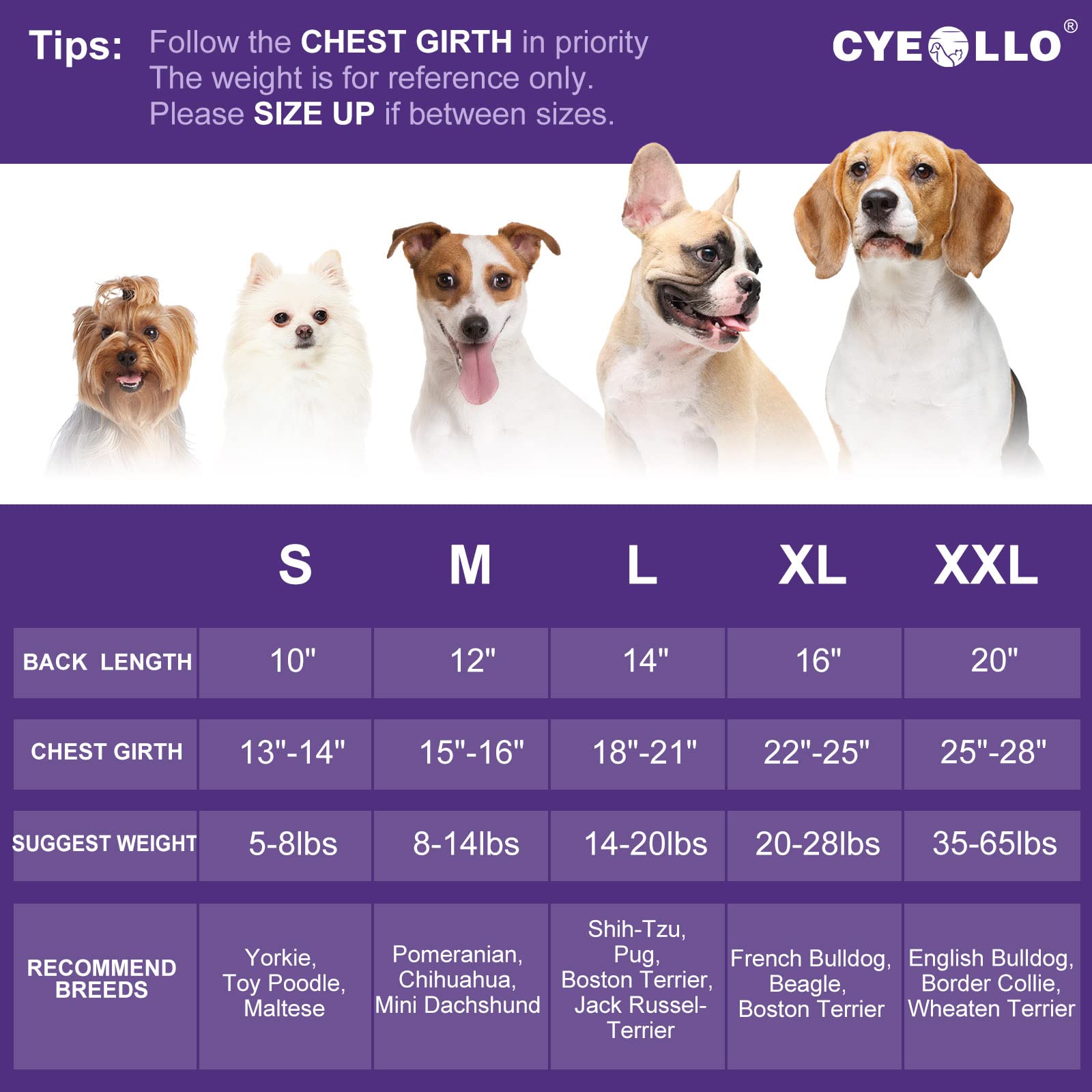 Cyeollo 2 Pack Dog Sweater Stretchy Sweatshirt Soft Fleece With Reflective Stripe Pullover Dog Jacket Pet Puppy Dog Clothes In Cold Weather Sweaters For Small Dogs Grey & Blue