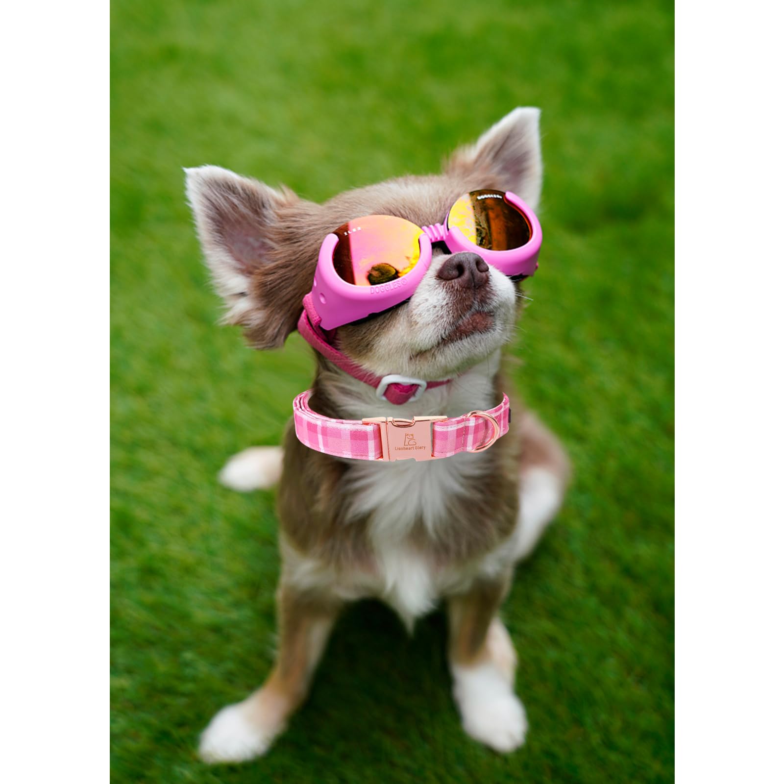 Lionheart Glory Valentine'S Day Collar, Pink Plaid Dog Collar For Medium Cute Dog Collars Spring Female Pet Gift Adjustable Heav