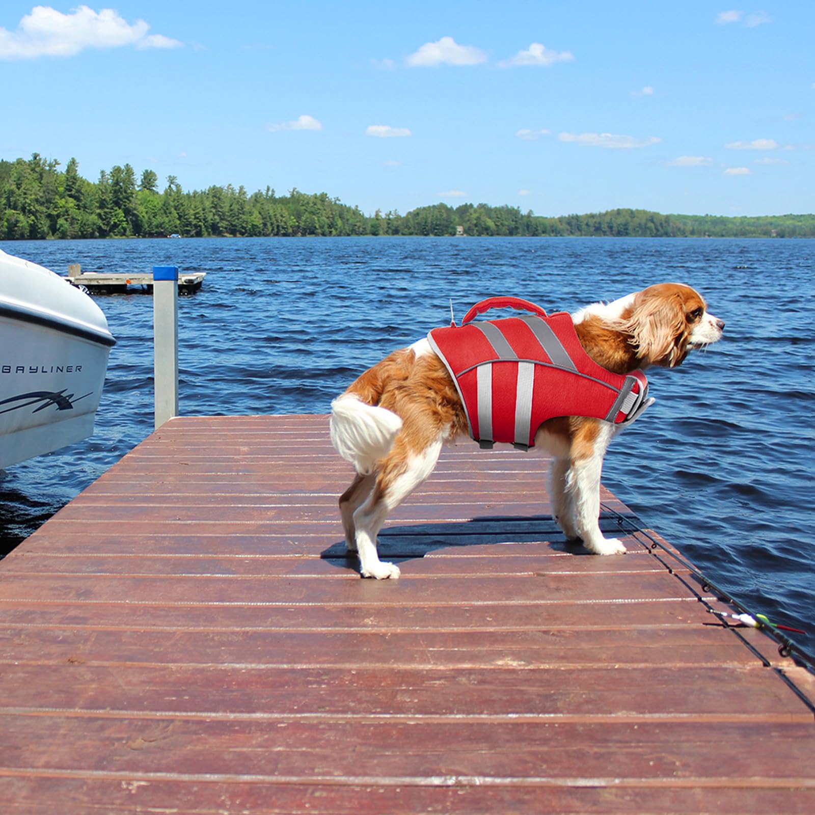 Kuoser Dog Life Jacket With Reflective Stripes, Adjustable High Visibility Dog Life Vest With High Flotation Swimsuit For Small Medium And Large Dogs