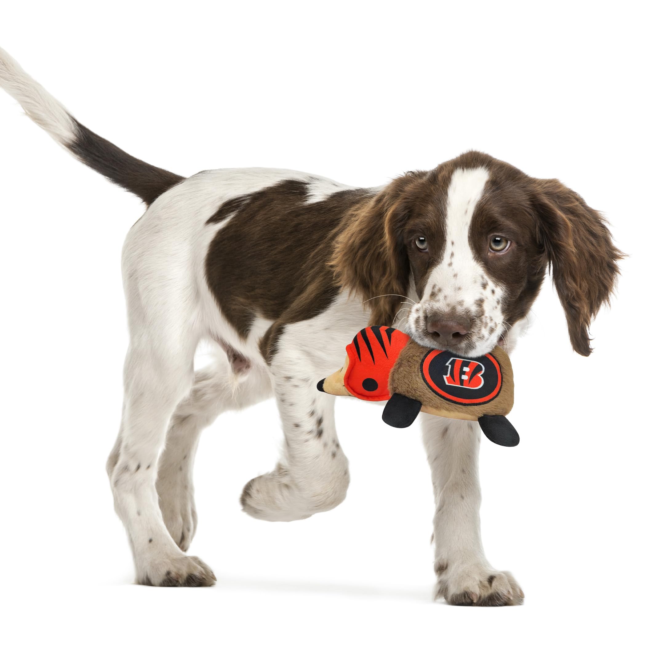 Nfl Cincinnati Bengals Plush Hedgehog Toy For Dogs & Cats, Cool Soft Pet Toy For Fun And Interactive Play, Dog Chew Toy With Squ
