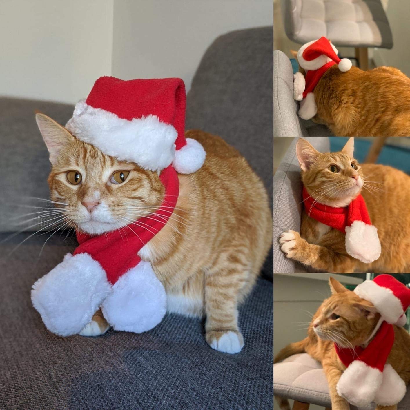 Petleso Cat Santa Hat With Scarf, Christmas Hats For Cats Small Dog Santa Hat Christmas Costume For Cat Rabbit Puppy Doll Decoration, Red S