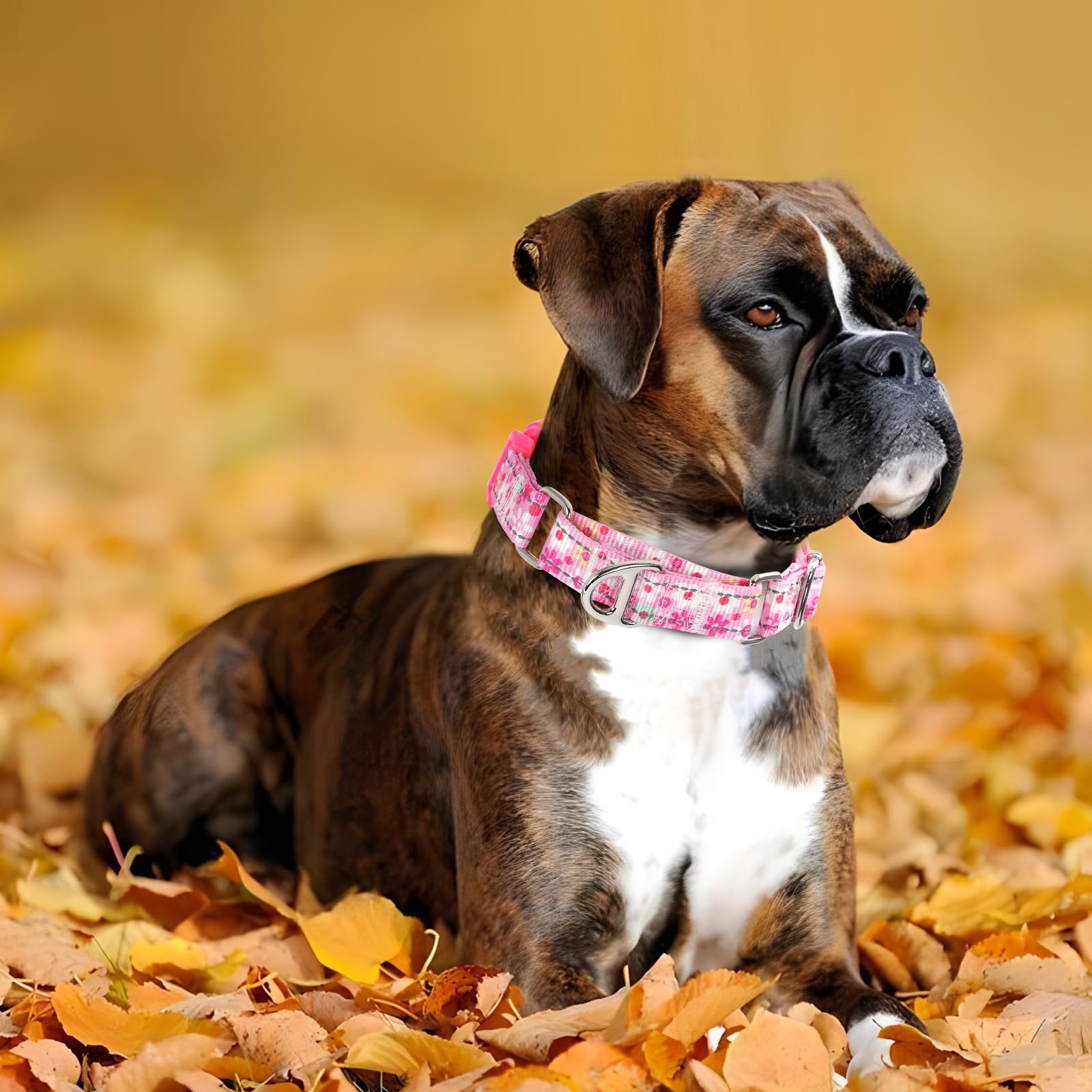 Onefojojo Pink Floral Martingale Dog Collars For Dogs, Reflective Nylon Dog Collar With Buckle Adjustable Training, Walking, Hun